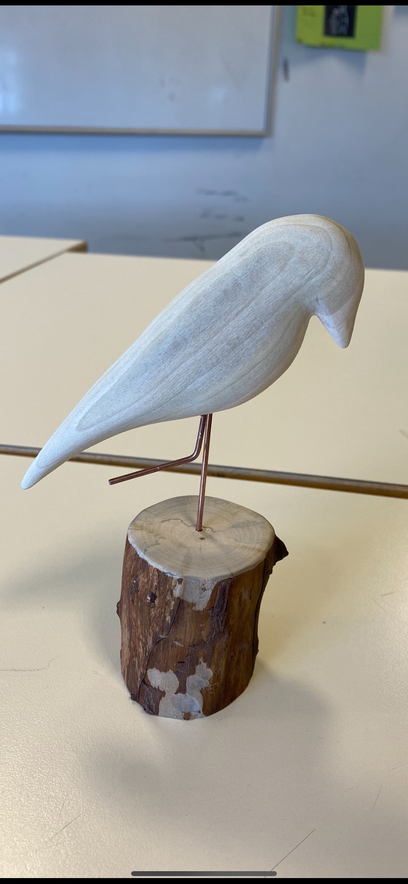 Áhugasviðsverkefni í Álftanesskóla