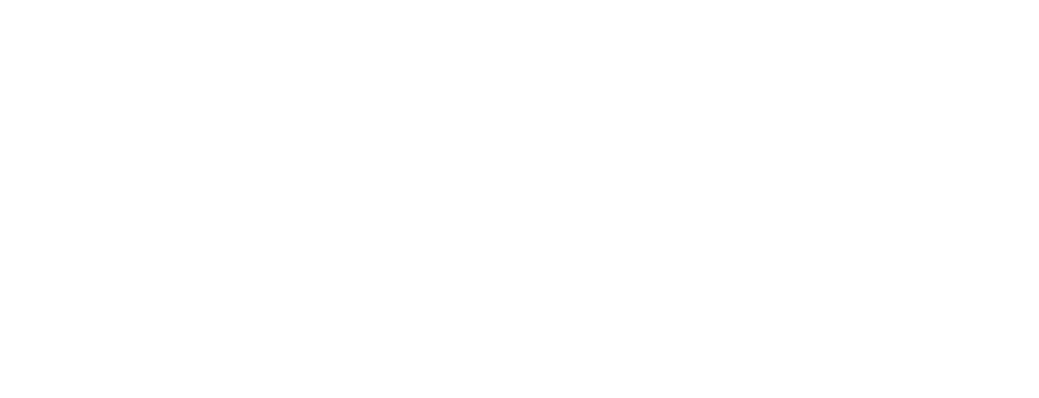 FPT Software