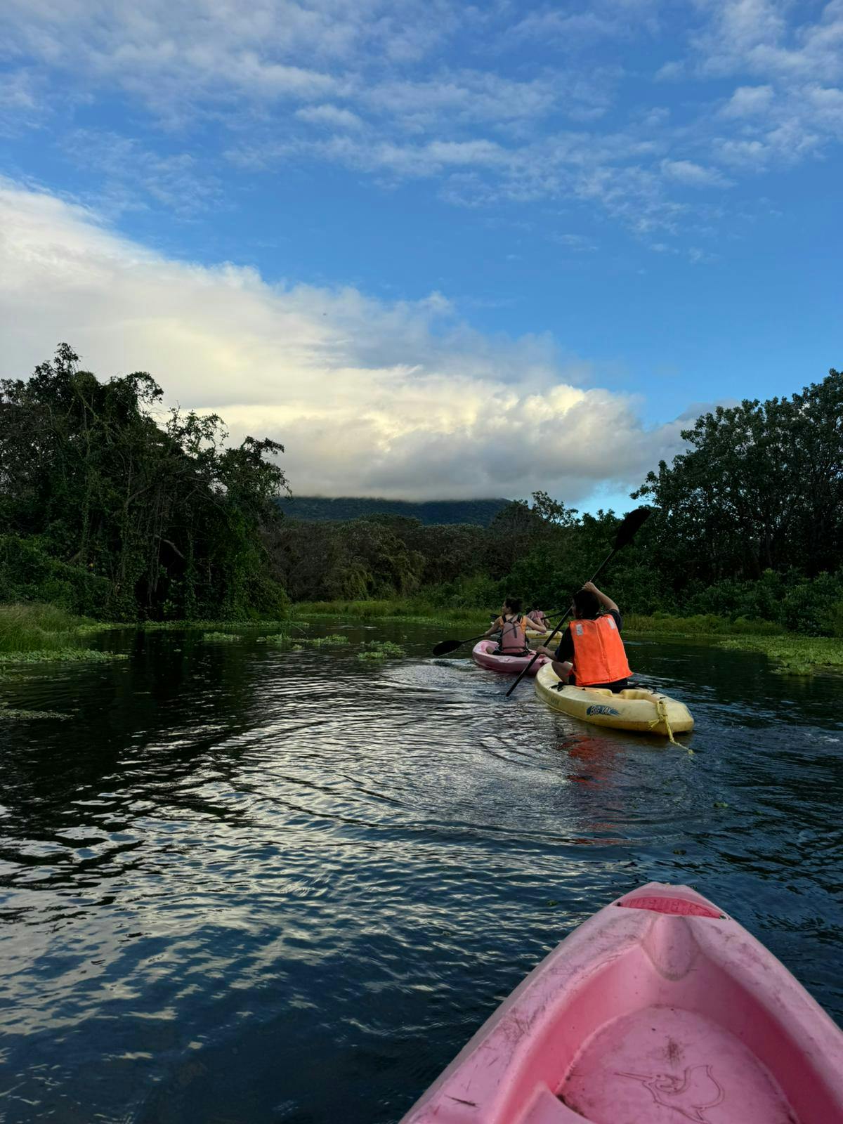 Water, people on kayaks