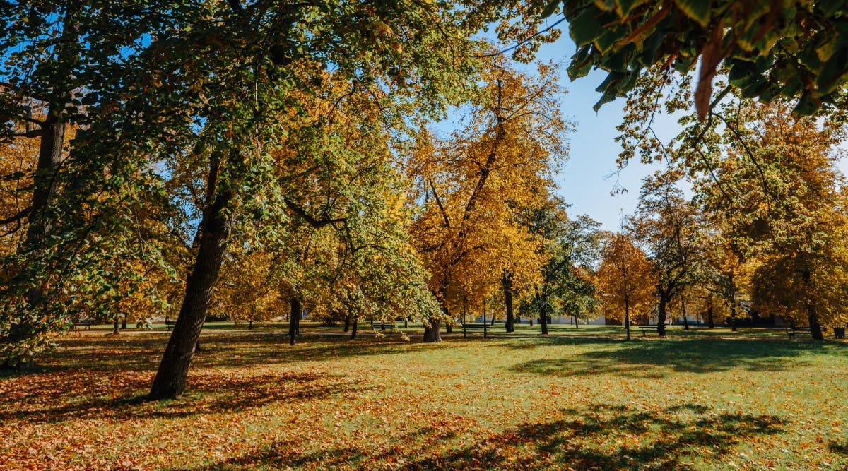 fall -season-tour