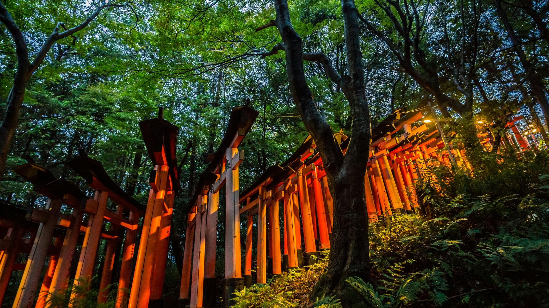Tokyo City with AI Travel