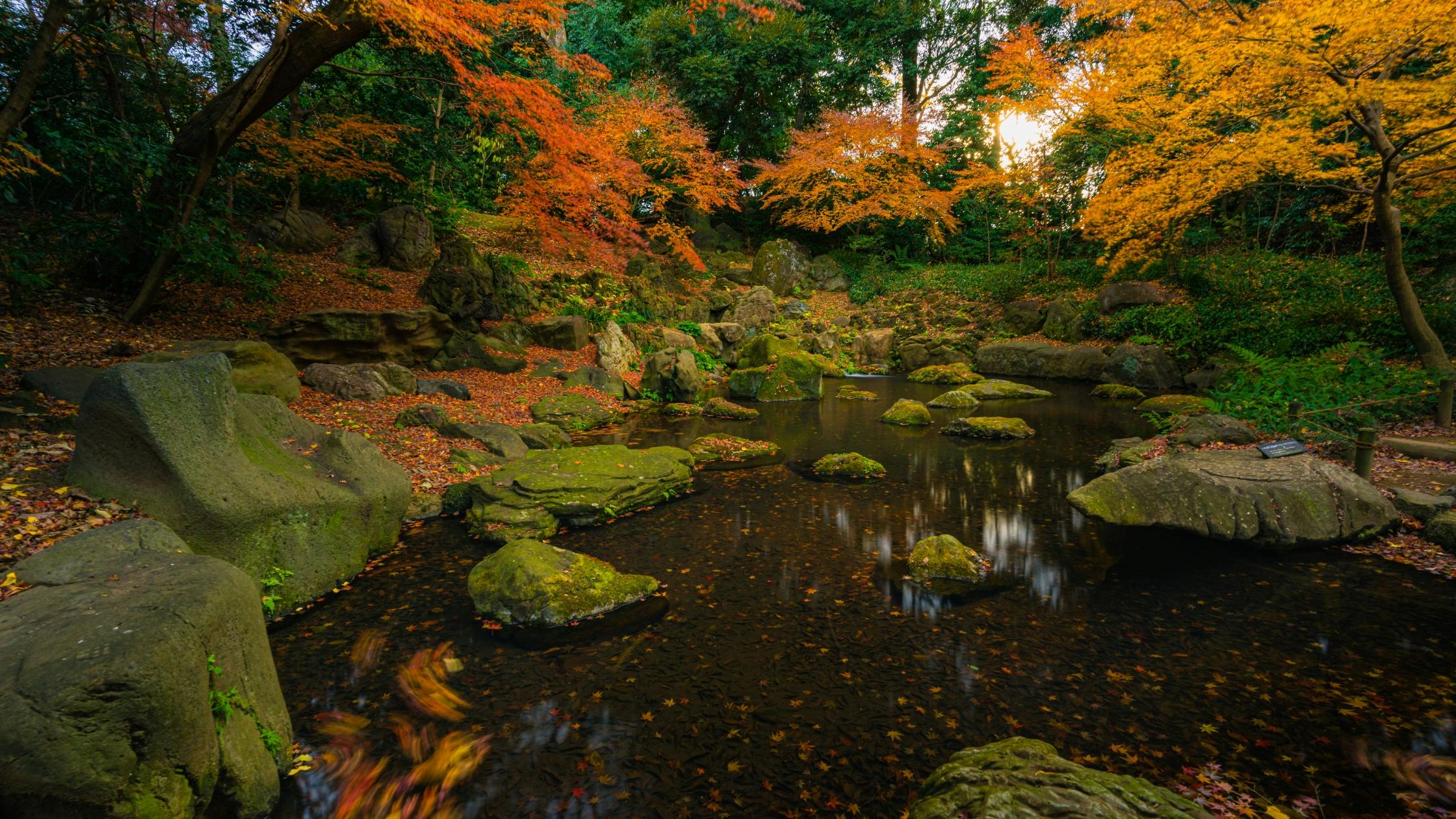 Rikugien- Gardens.
