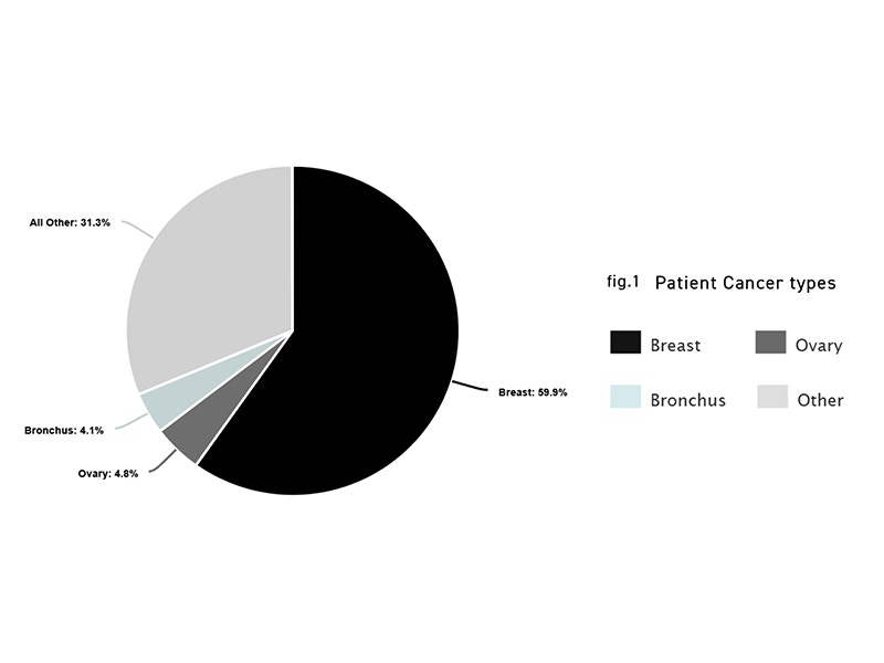 Pie chart showing percentages of patient cancer types