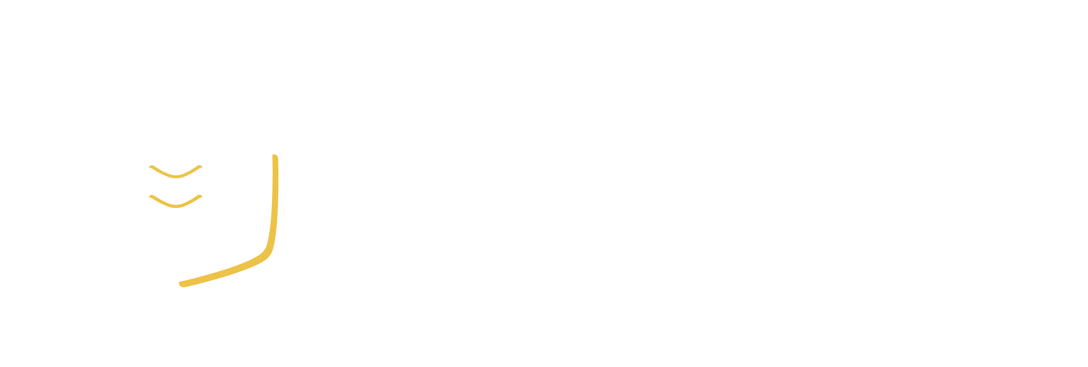 Logo Summ AI