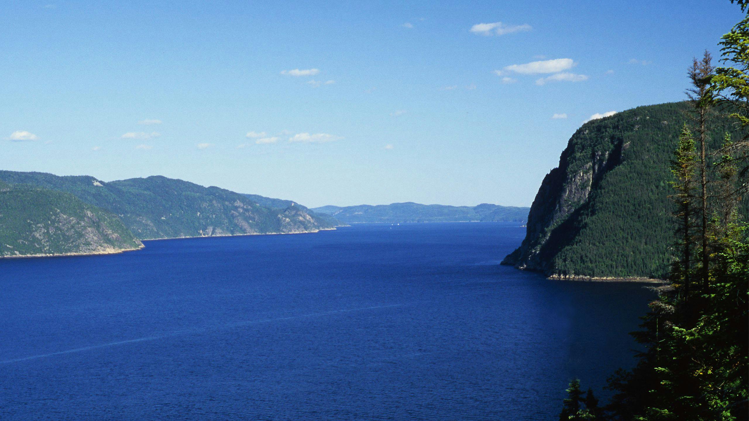 Services à domicile abordables et sécuritaires dans la région de la Côte-Nord avec Aidexpress : aide, soins, répit, entretien et accompagnement.