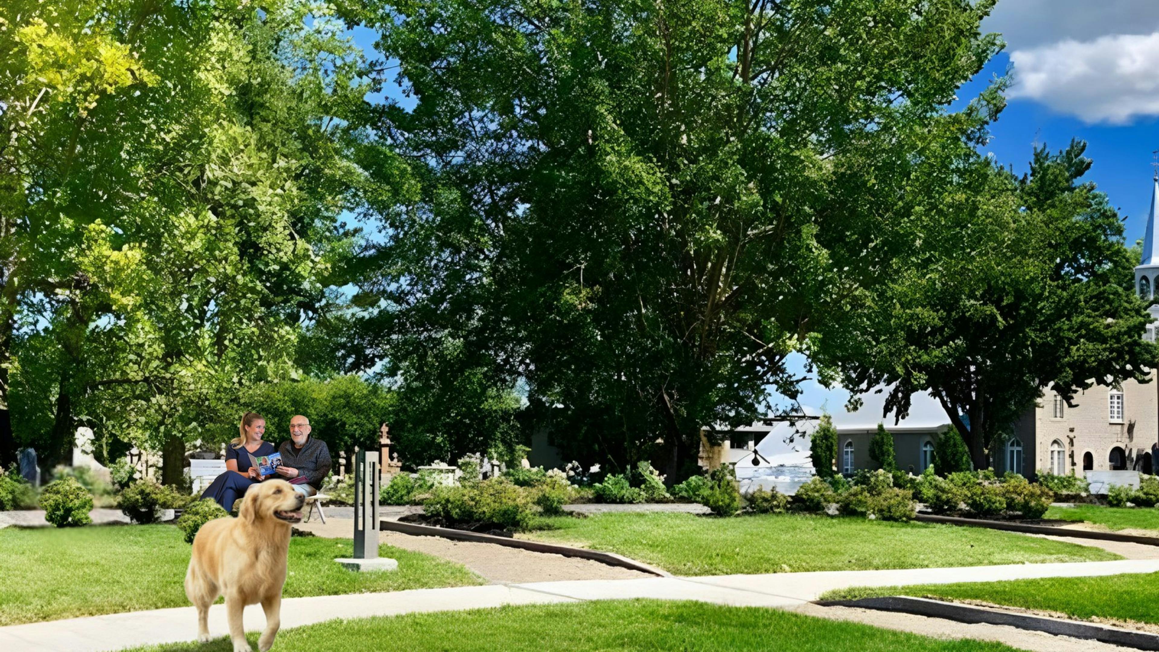 Soins et services à domicile à Repentigny dans la région de Lanaudière offerts par Aidexpress.