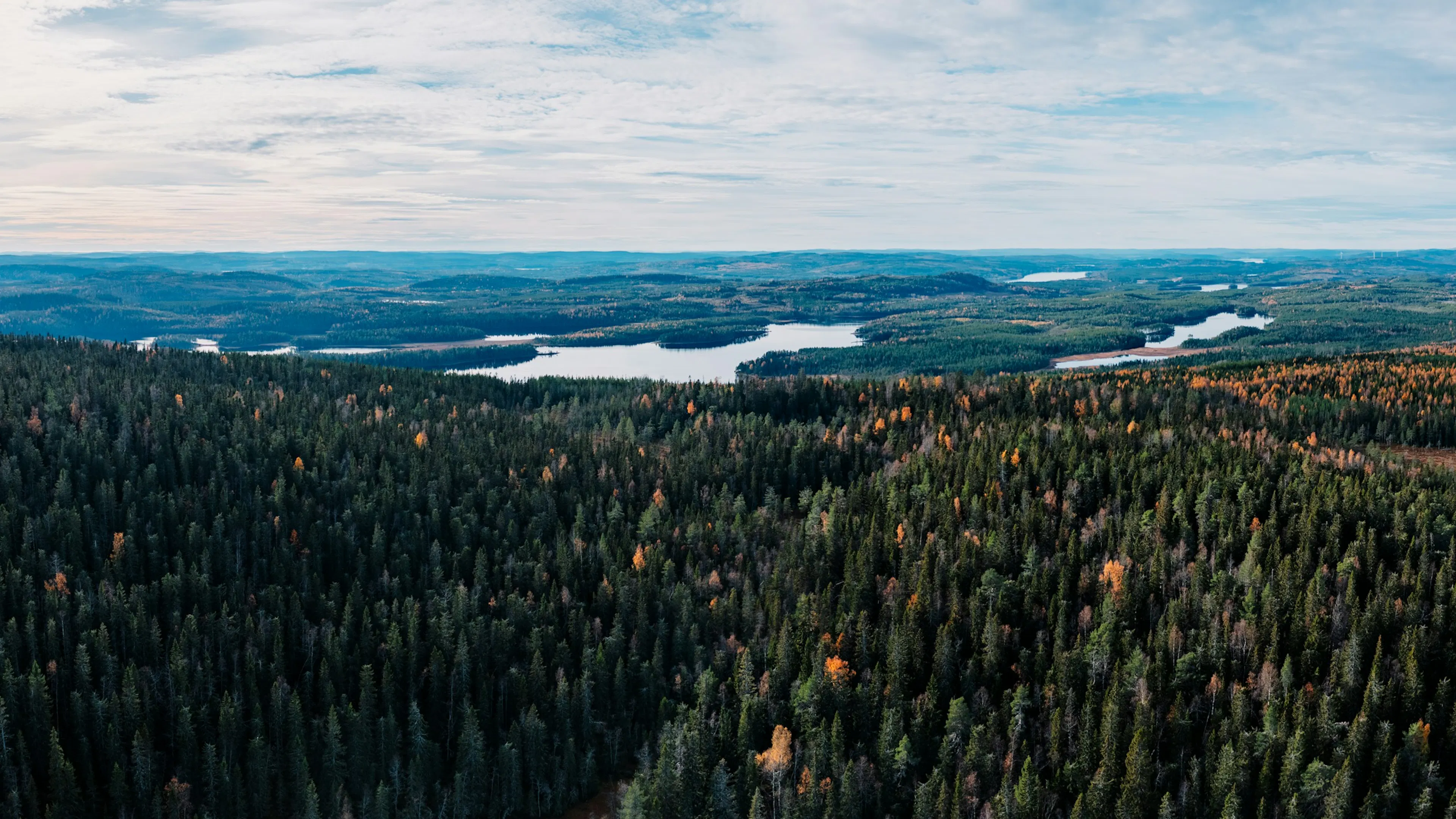 Autumn forest and lakes stretching towards the horizon near Sundsvall, Sweden
