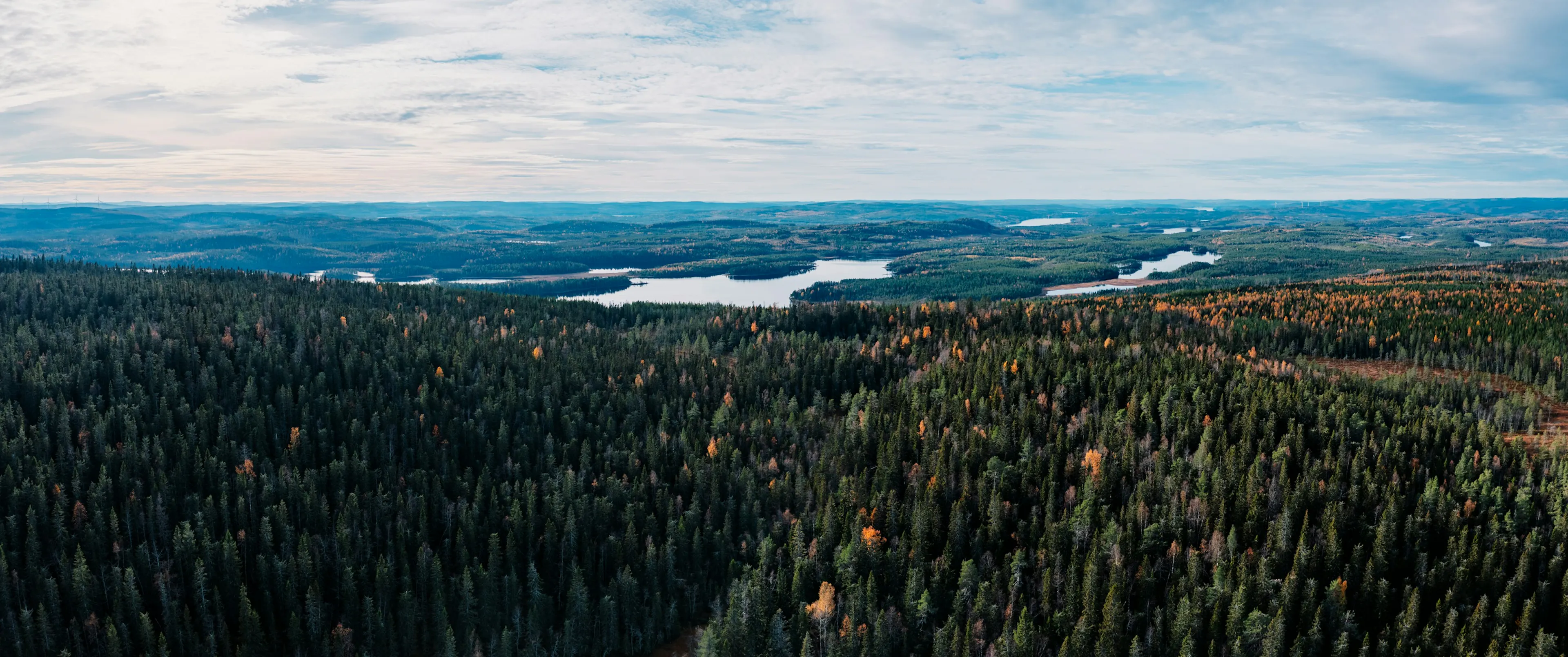 Autumn forest and lakes near Sundsvall, Sweden