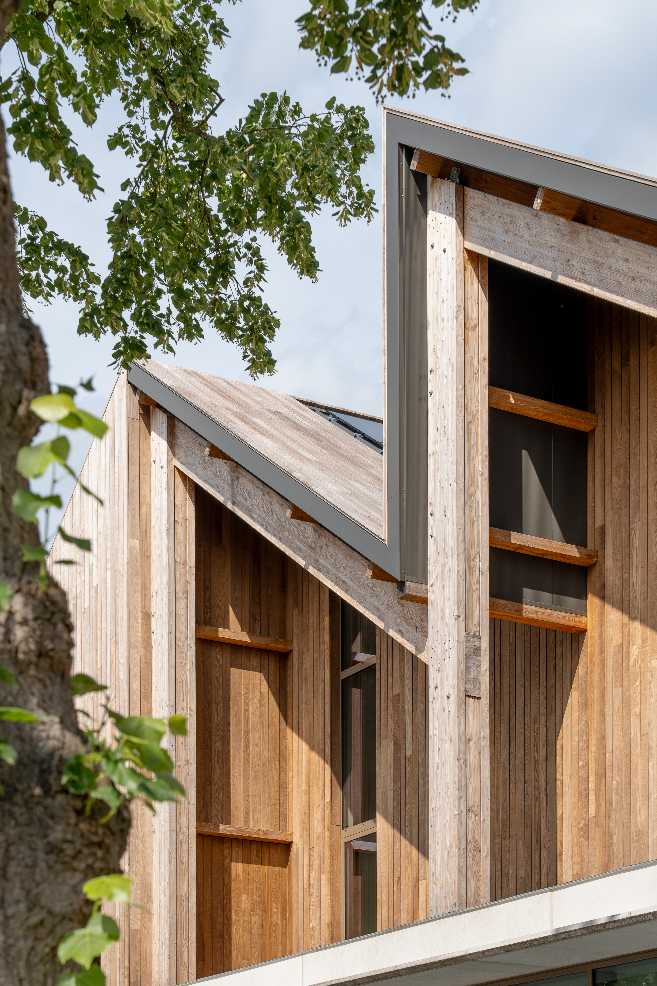 Detail van houten gevel en dakrand, deels bedekt door groene boombladeren.