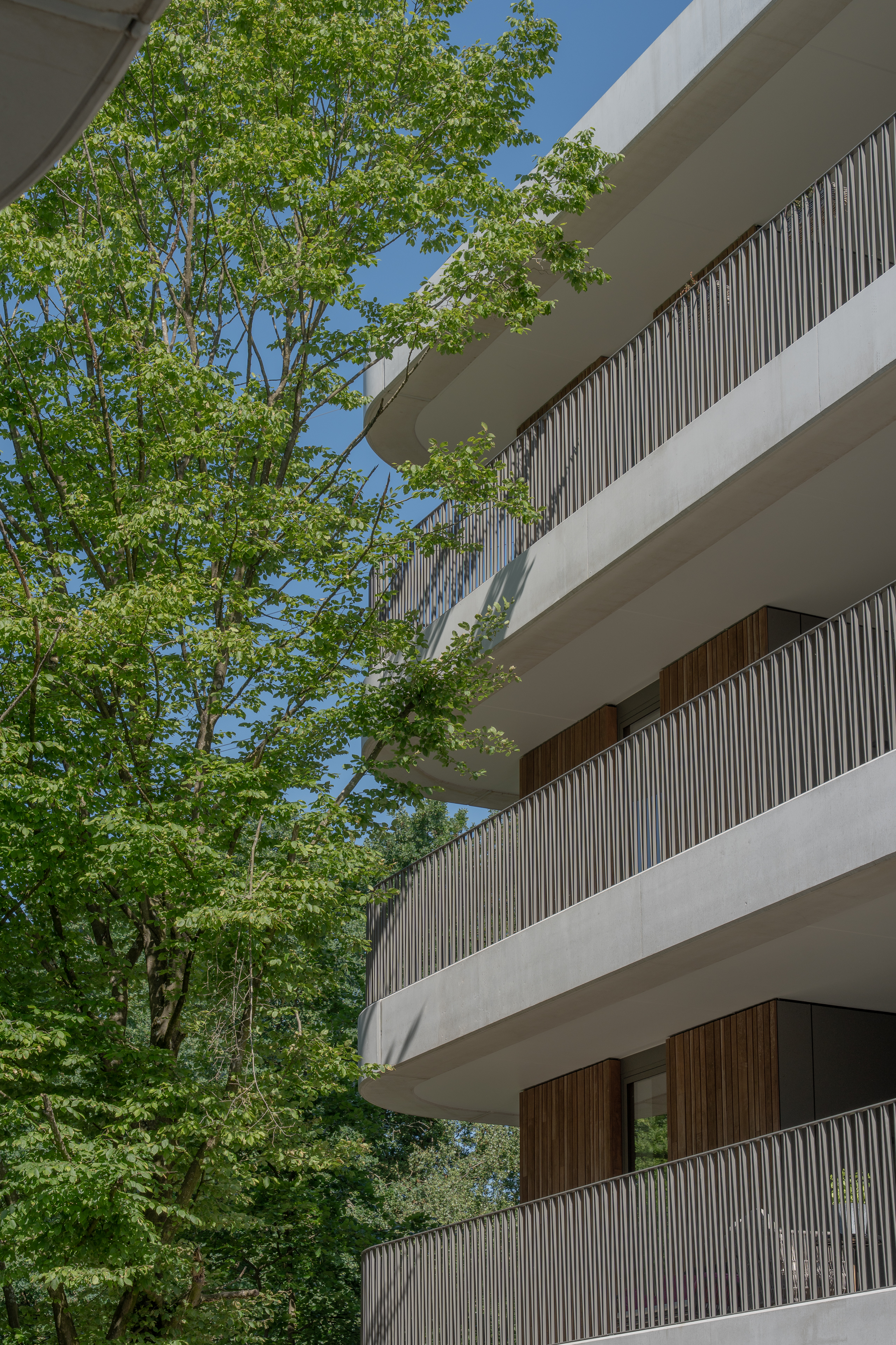 Gebouw met houten accenten en ronde balkons naast een groene boom.