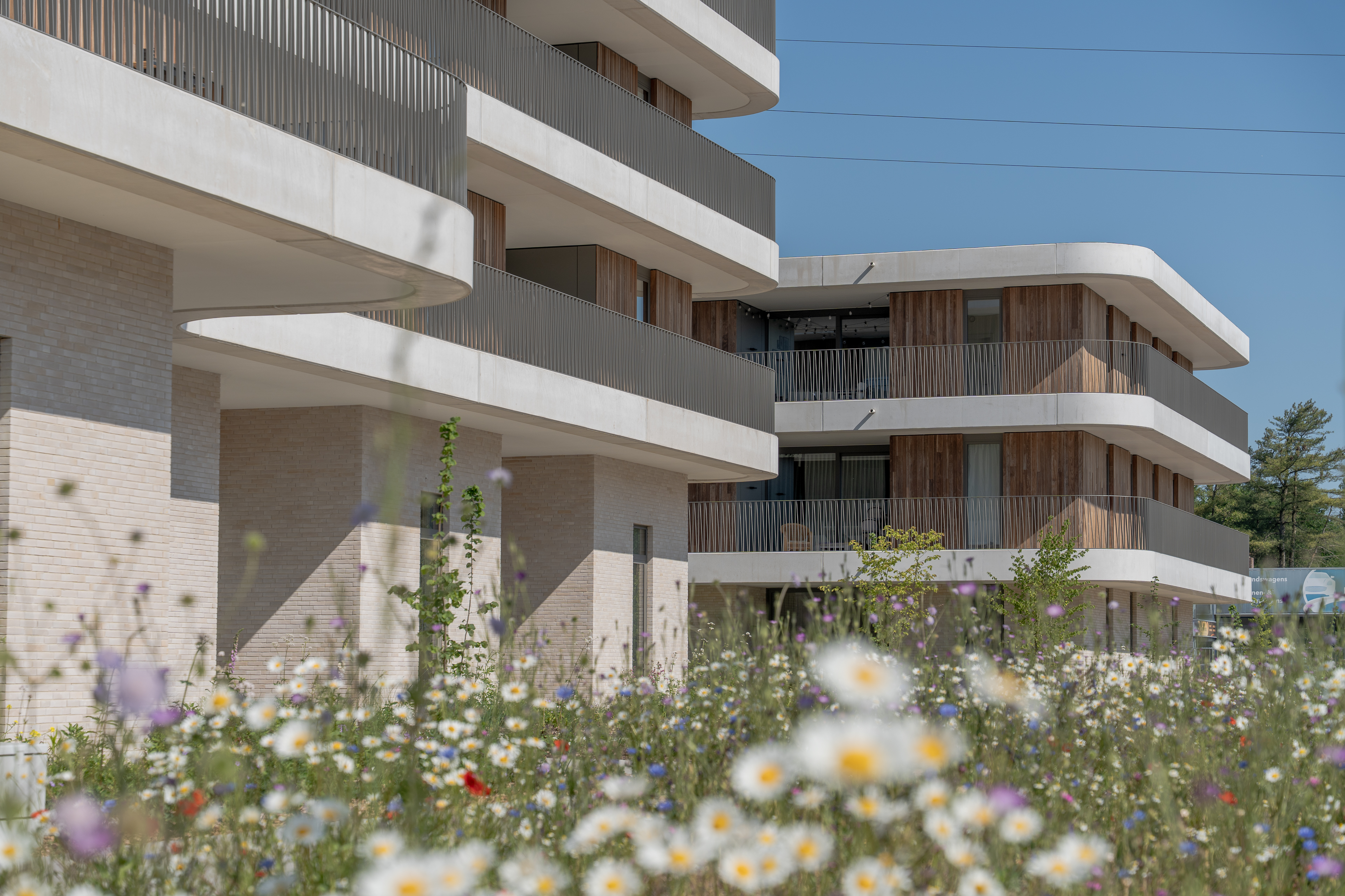 Wilde bloemen op voorgrond met moderne gebouwen met houten accenten en balkons.
