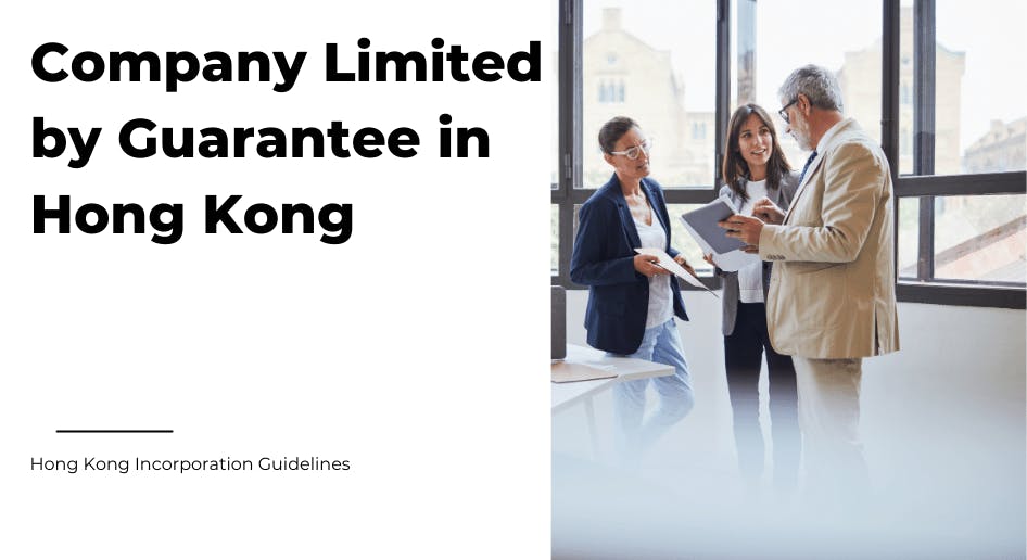 Office workers discussing about a company limited by guarantee