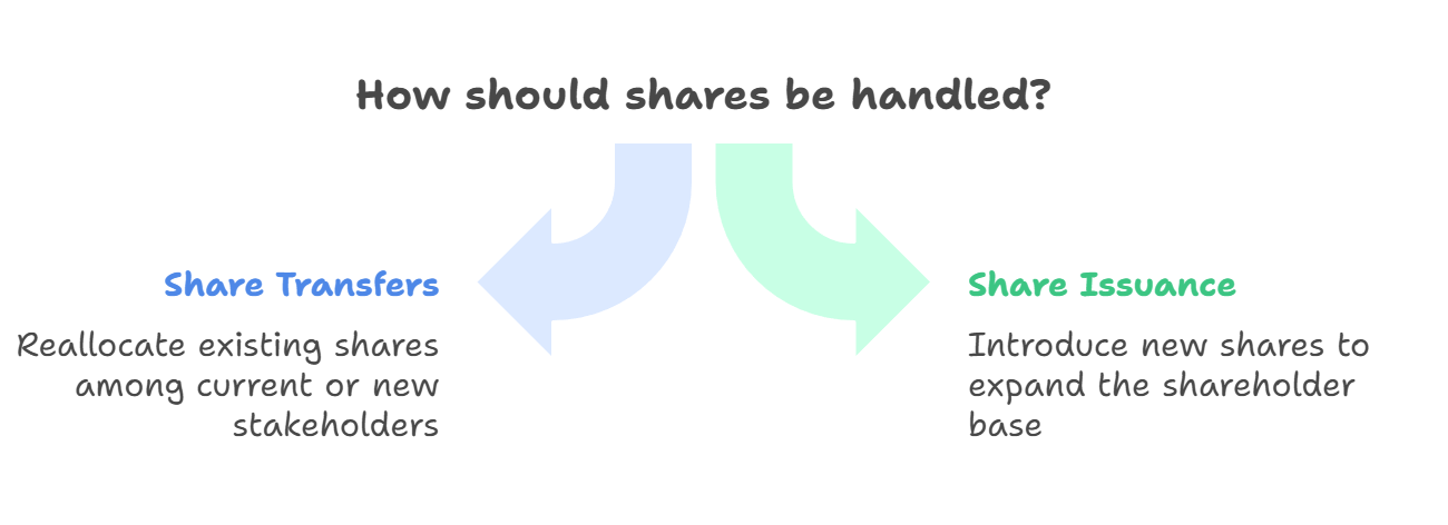 Share Issuance vs. Share Transfer