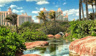 why companies register in the Bahamas