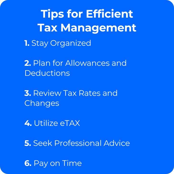 Tips for Efficient Tax Management