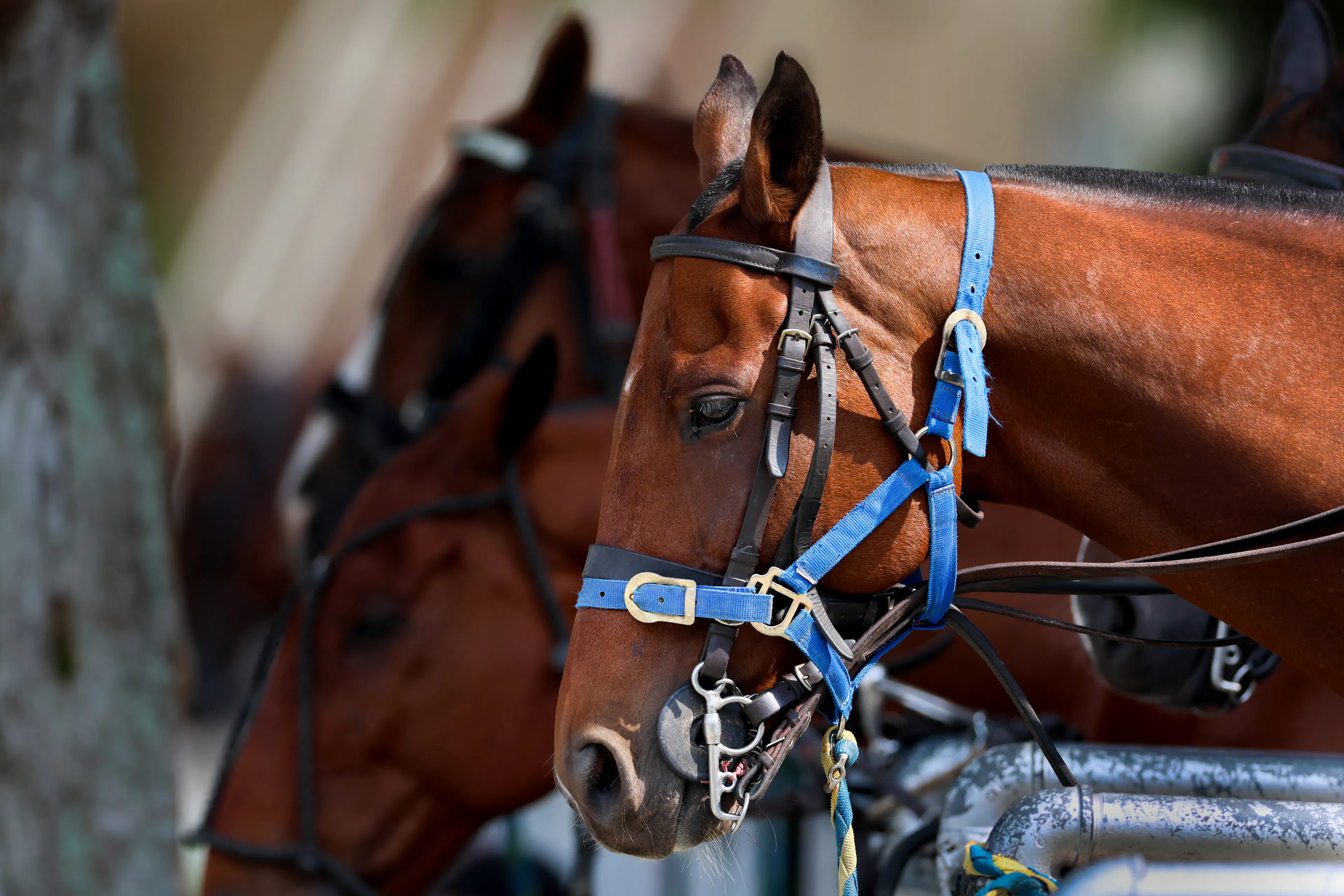 Why Dynamic Pricing Matters Most During Events