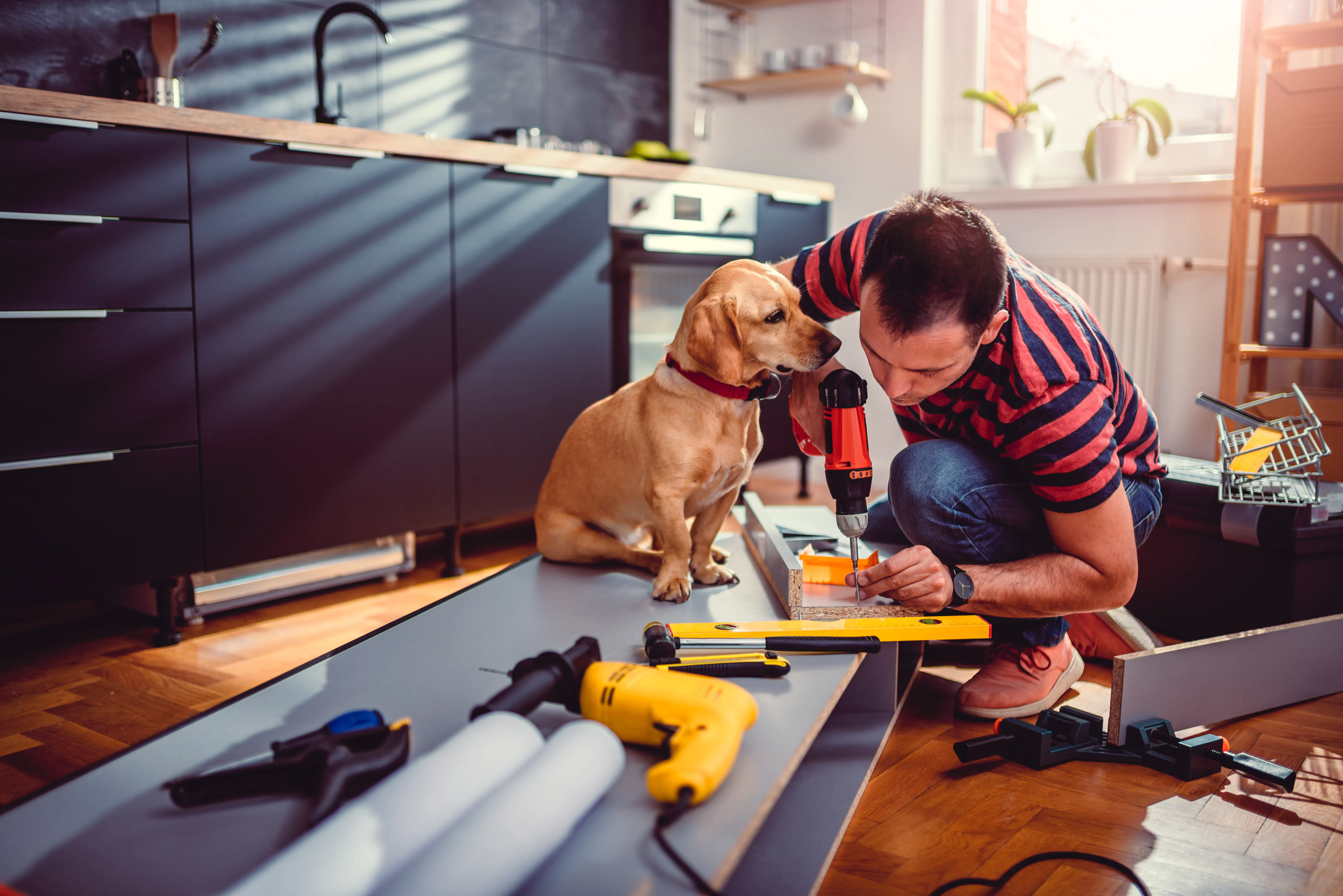 Man building kitchen cabinets with dog
