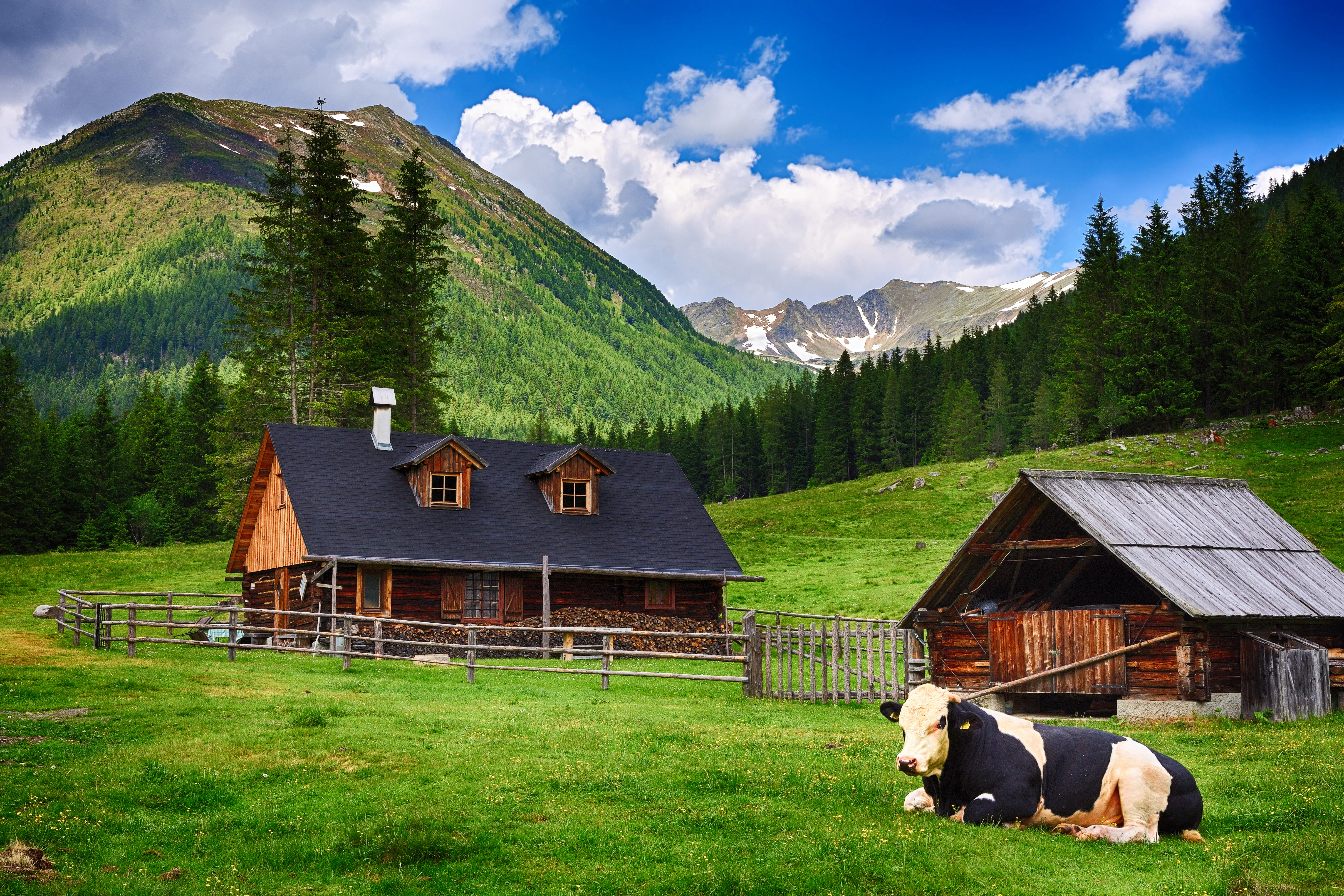 Farmhouse in Austria