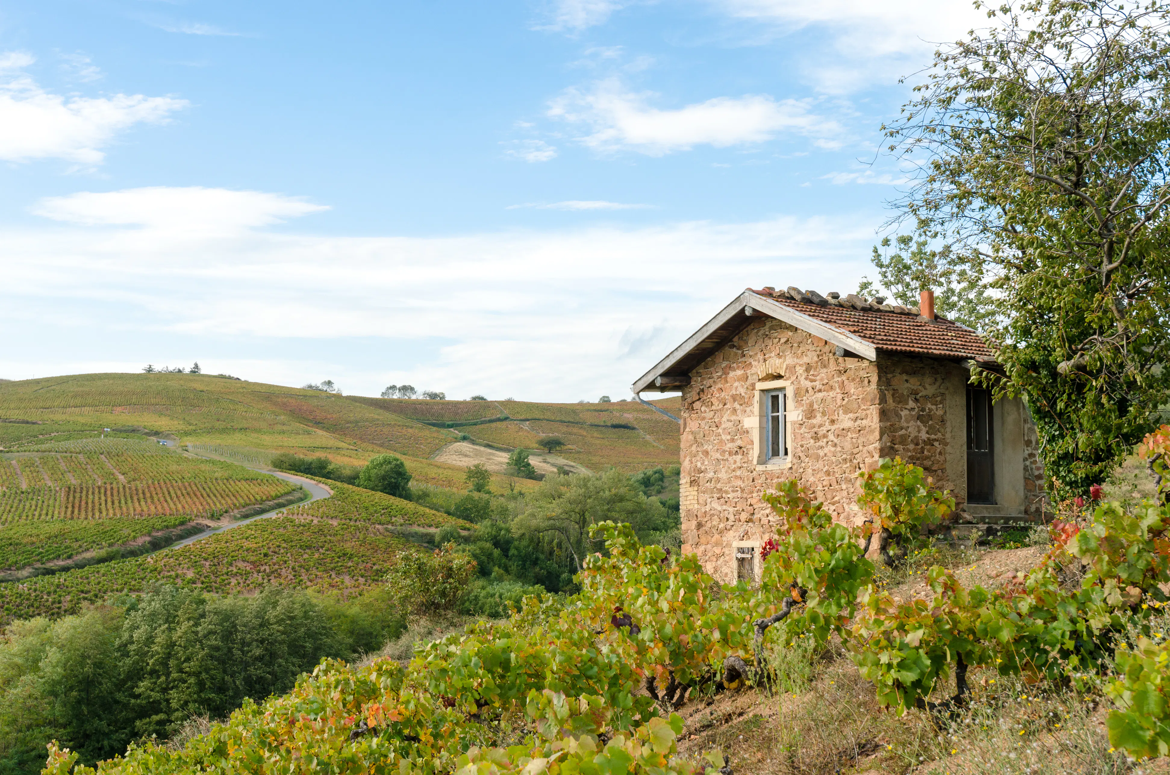 Mountain house France