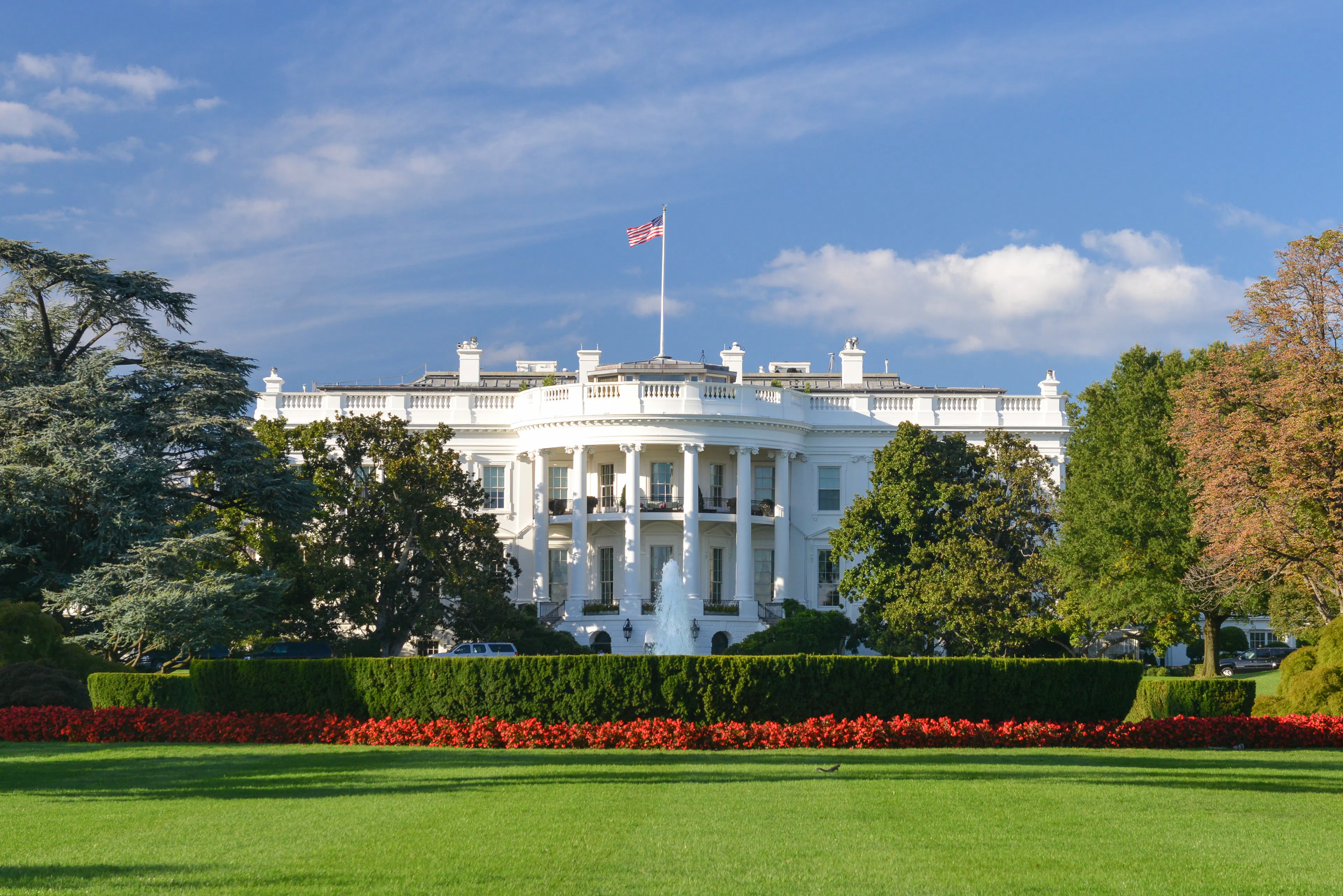 Airbnb Politics and the Trump Effect on Short-Term Rentals