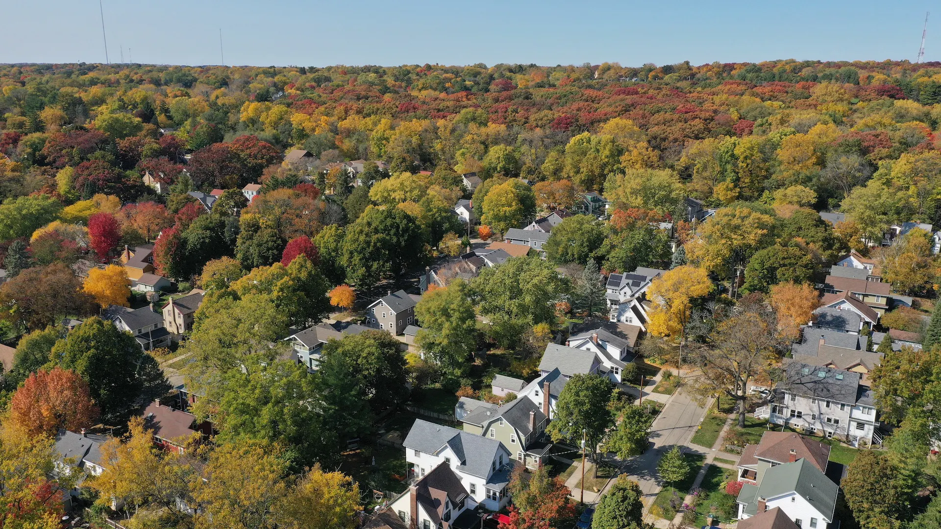 Autumn Colors in Madison, WIsconsin.