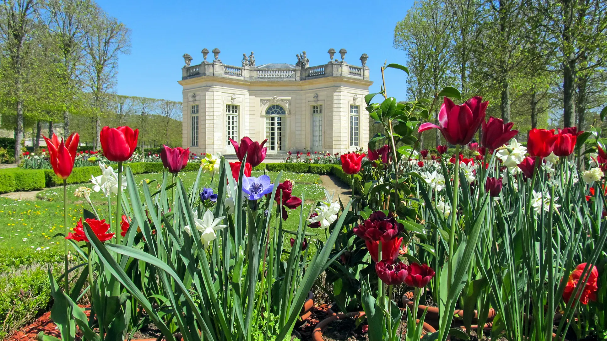 House with a beautiful garden