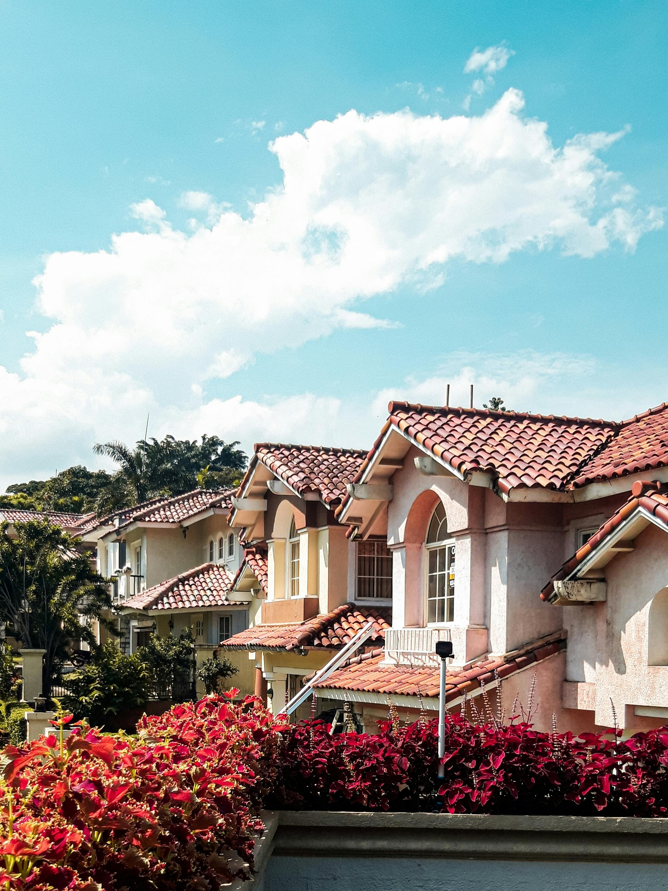 Street view of homes