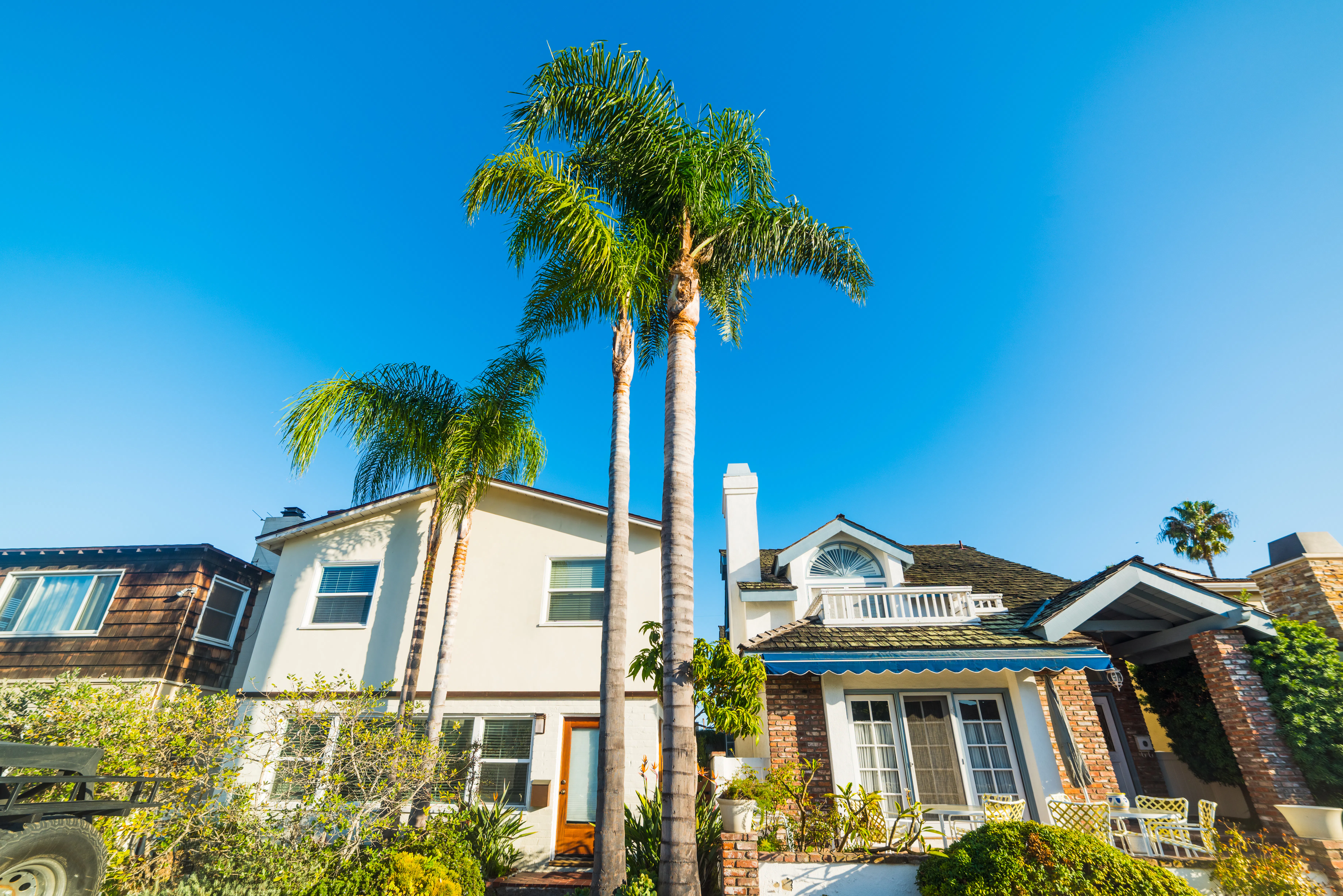 Neighboring houses with palm trees