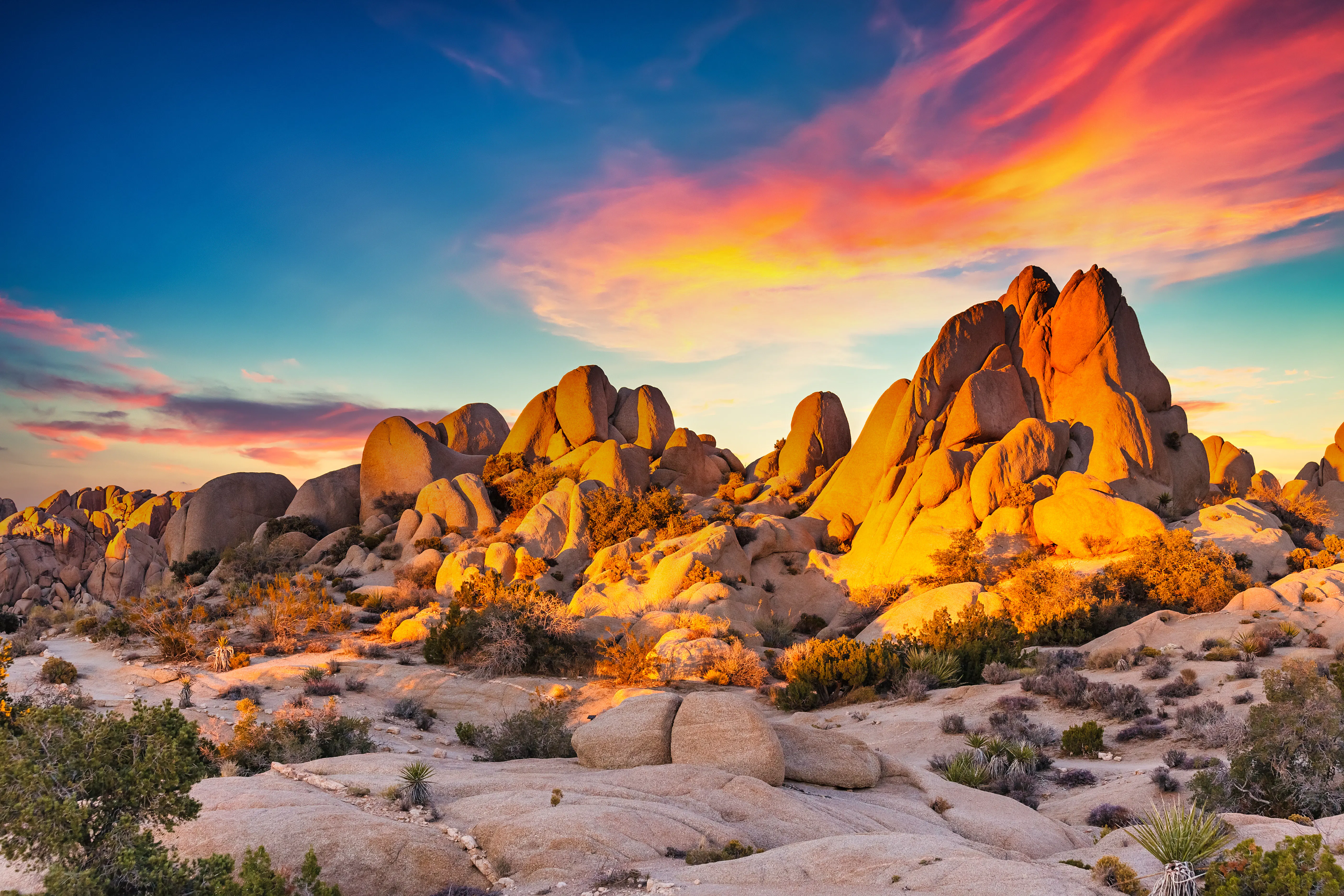 Sunset in Joshua Tree National Park