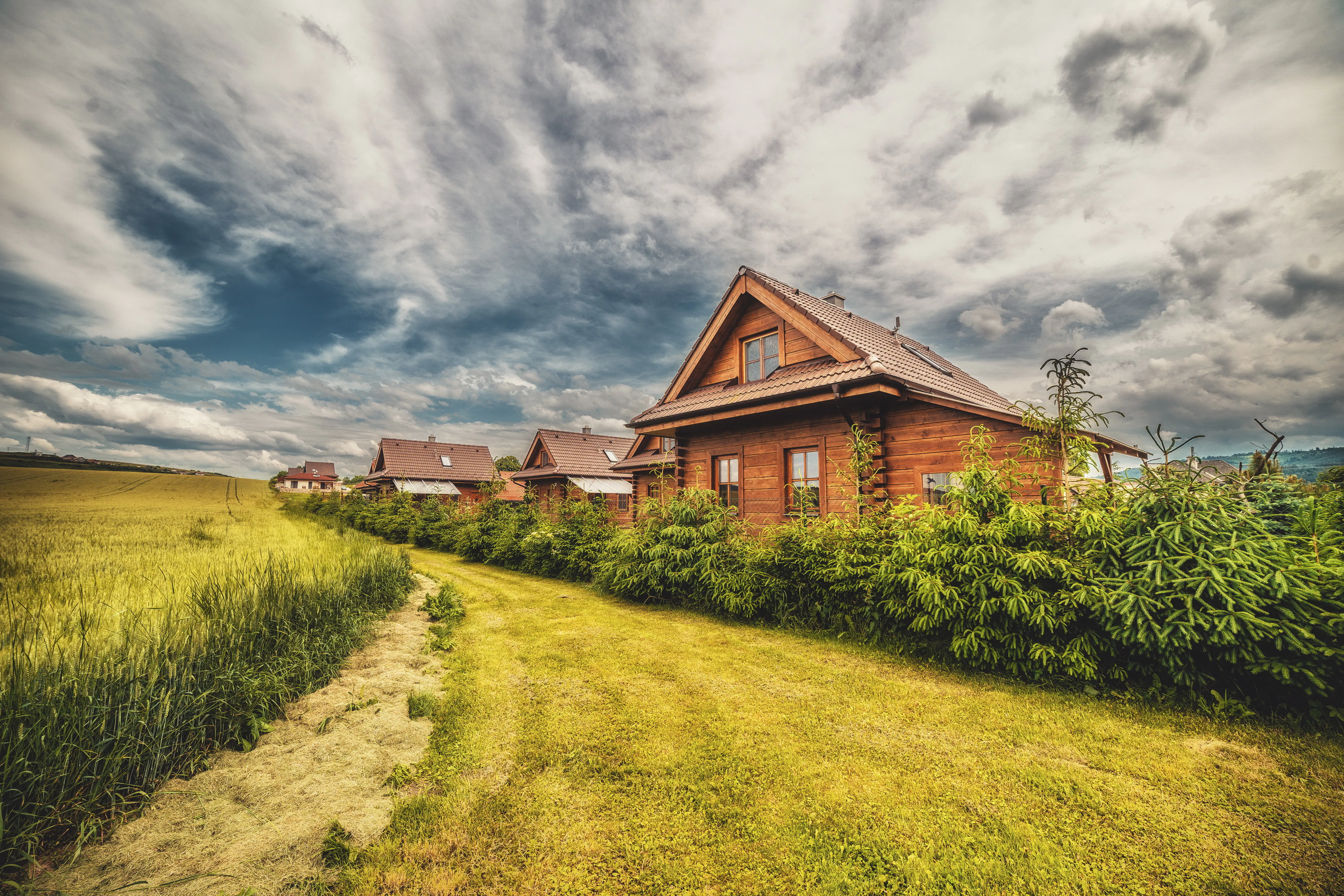wooden cabins