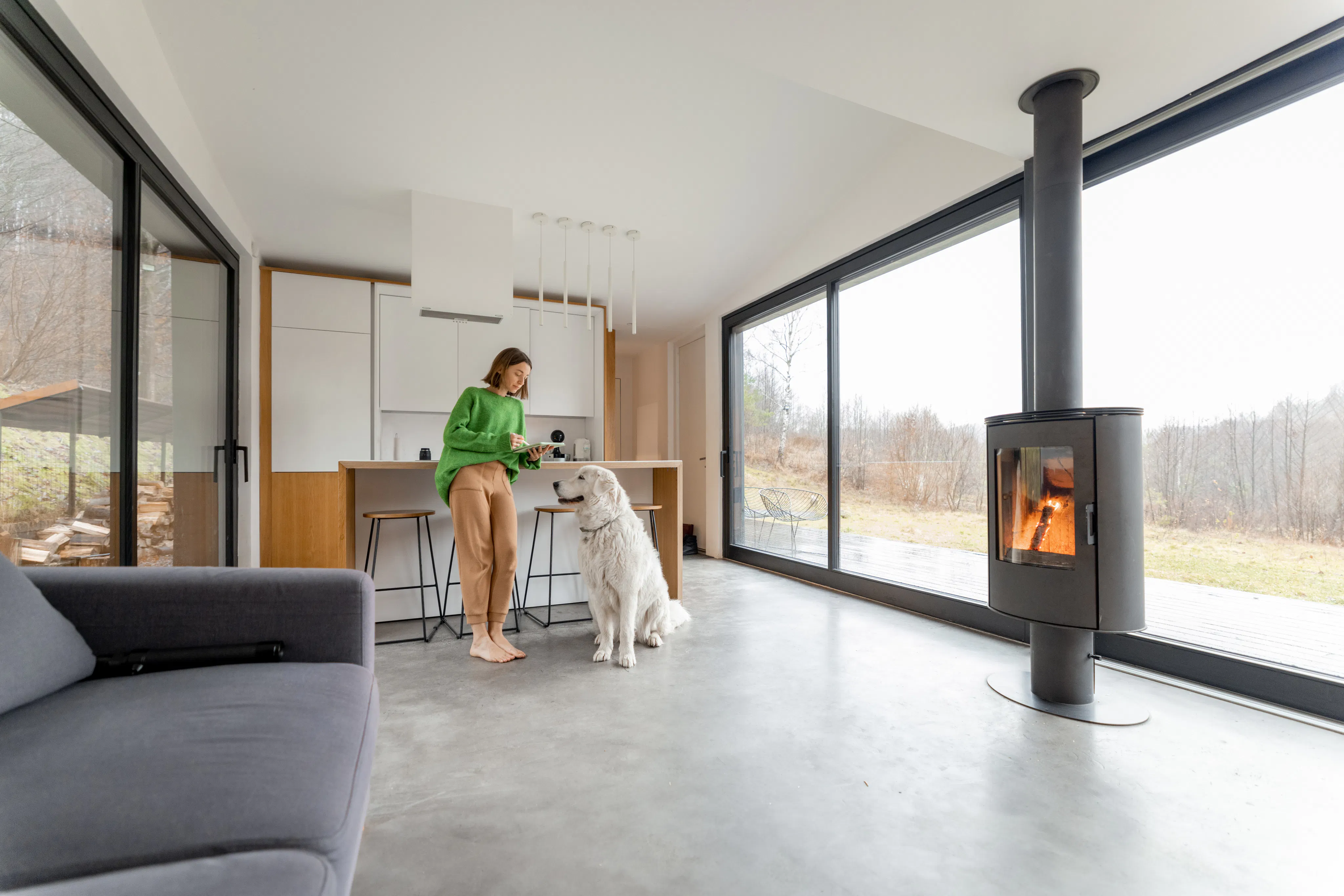 Young woman with her dog at modern house with panoramic windows and fireplace
