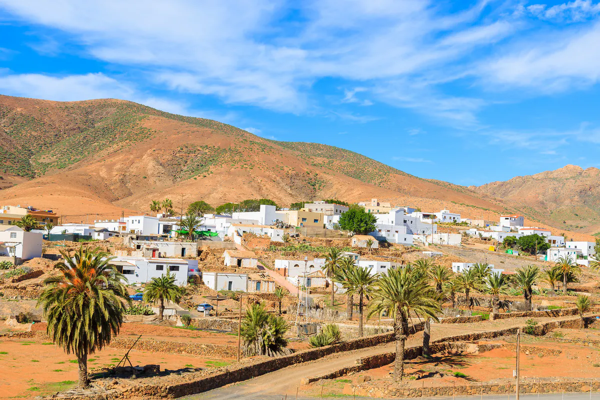 Pajara