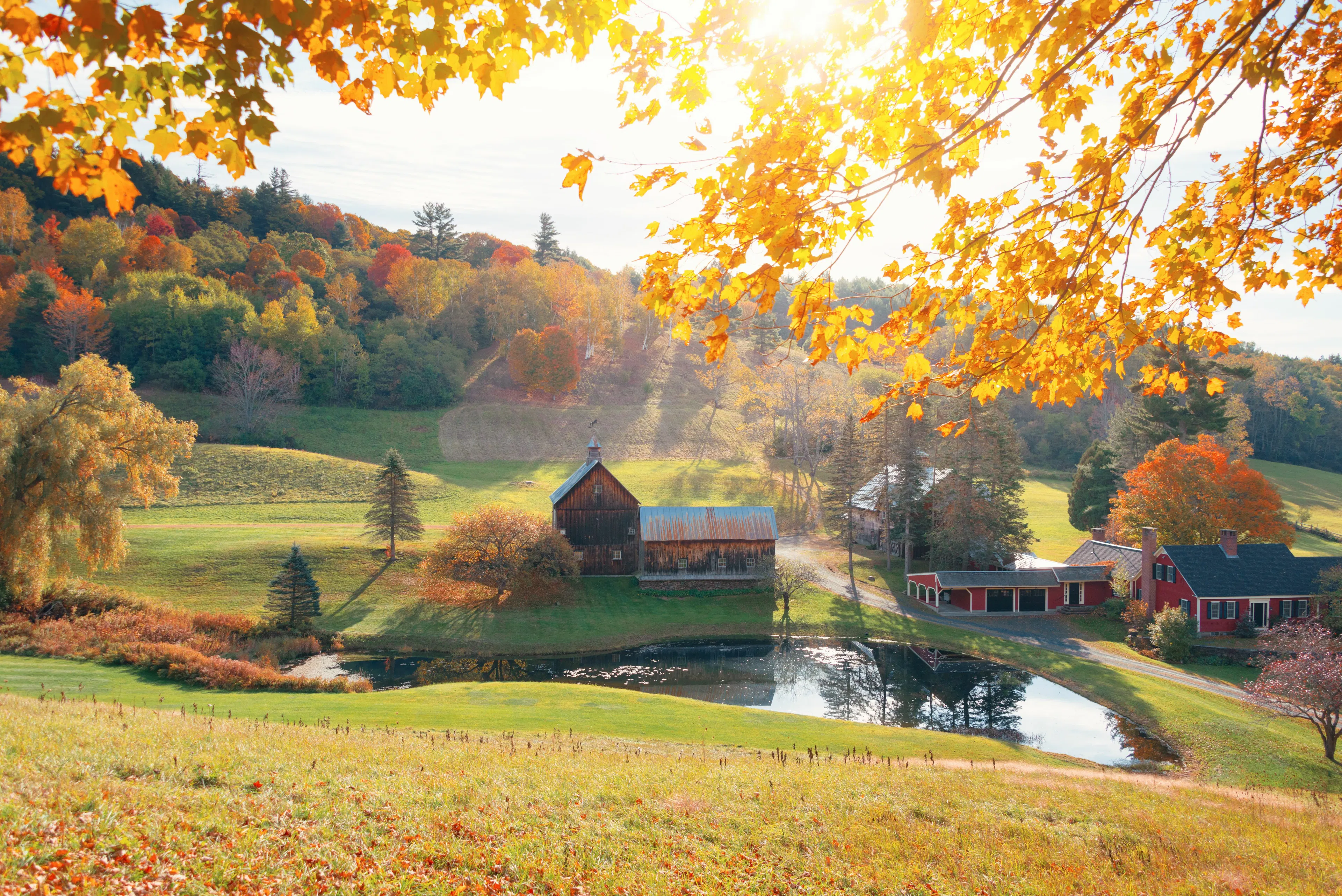 Farm Fresh Profits: Grow Your Income with an Airbnb Farm