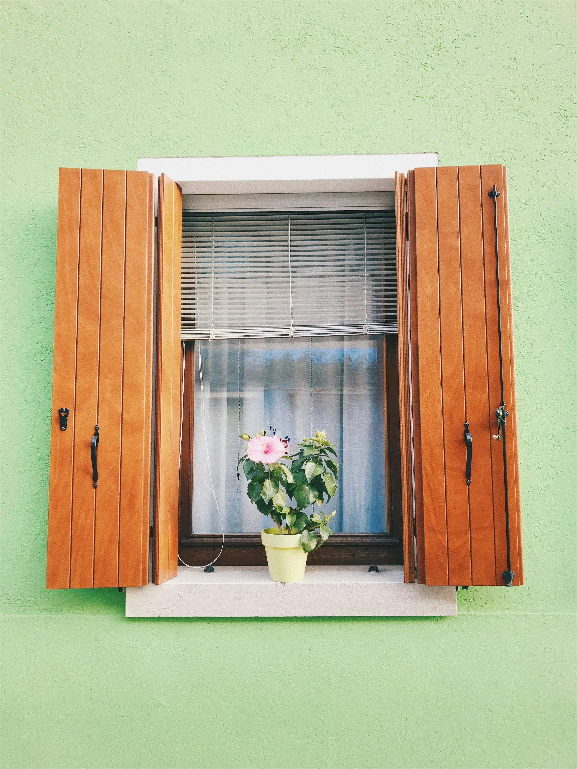window