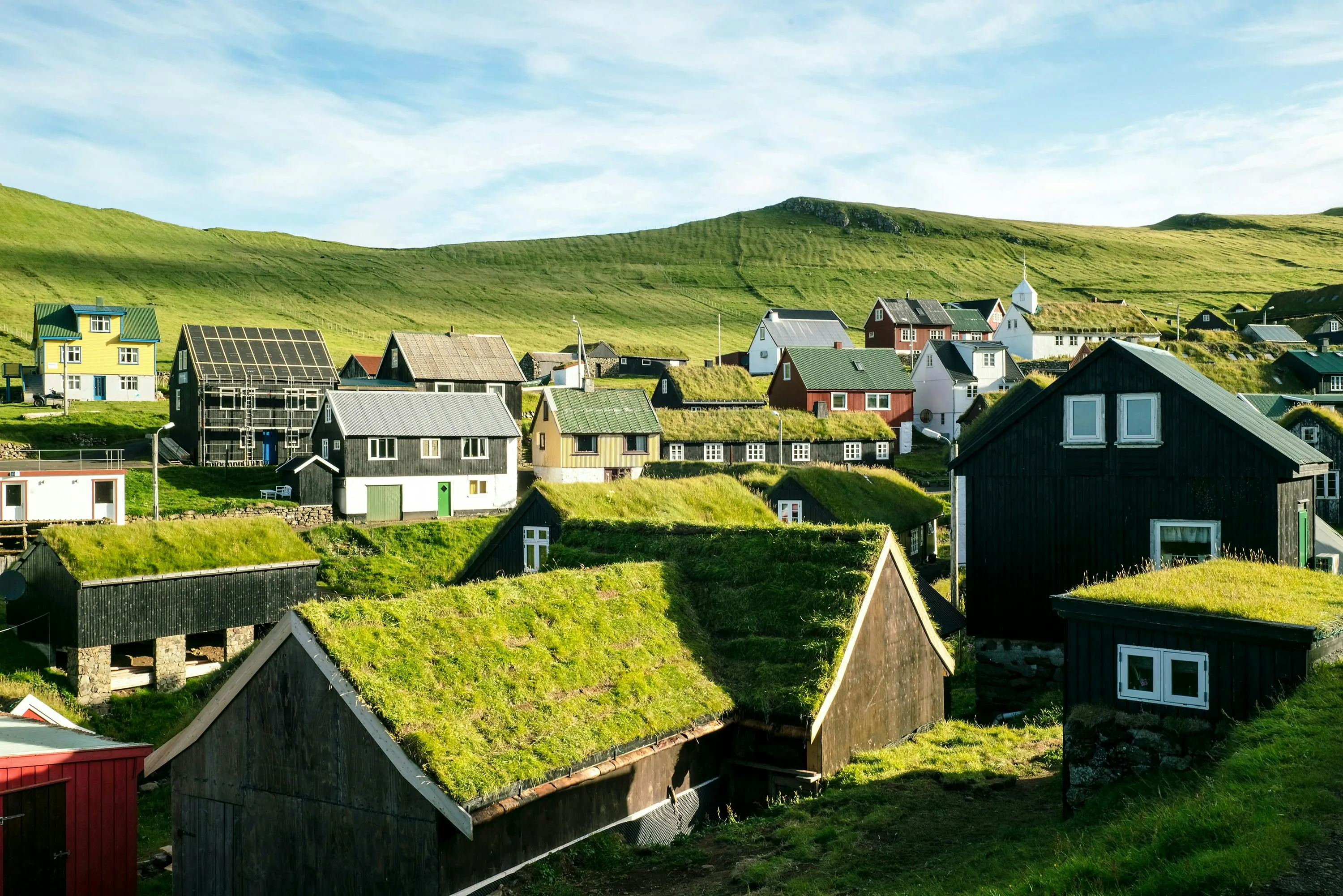 houses with grassy roofs