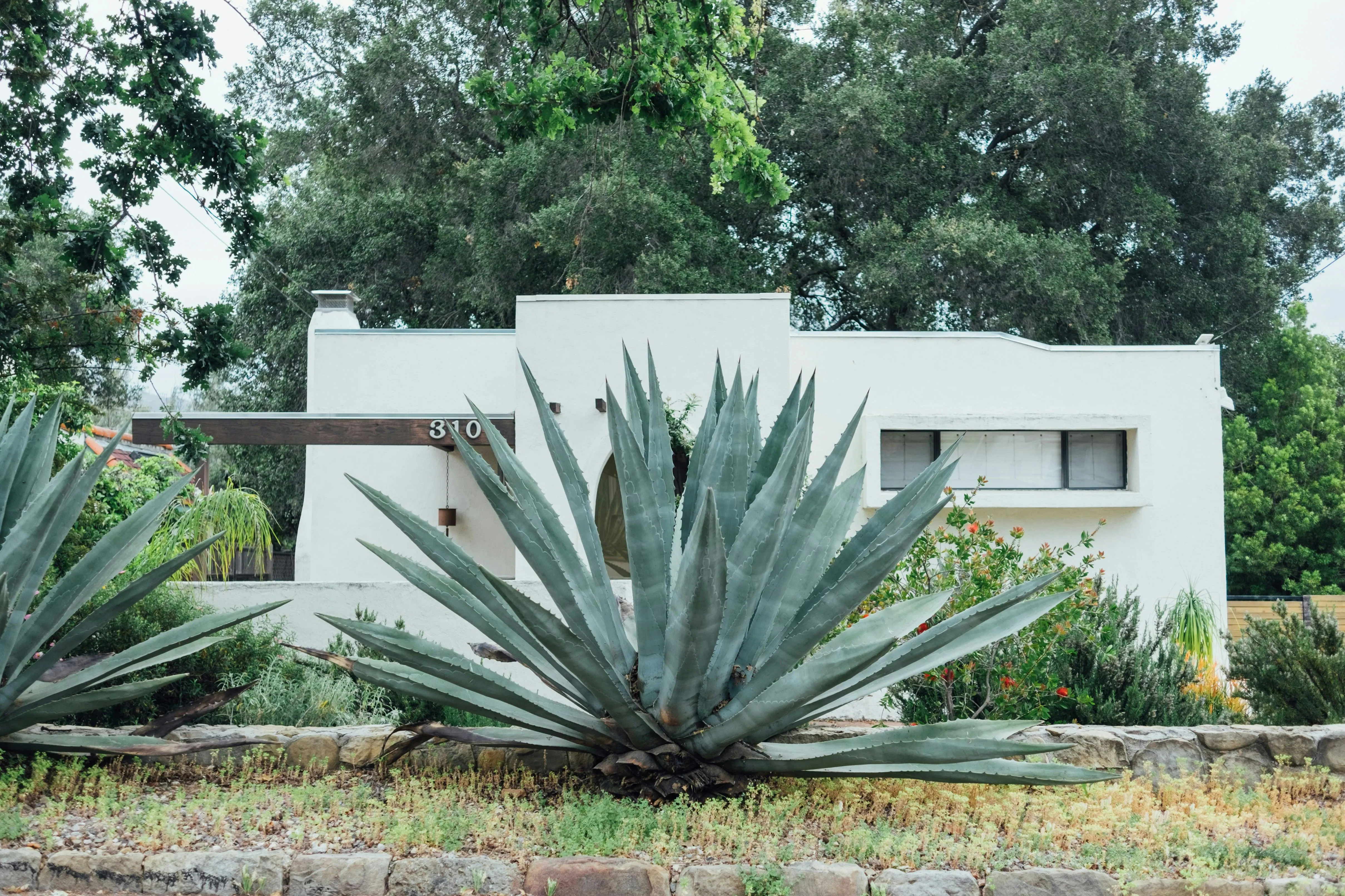 Adobe house