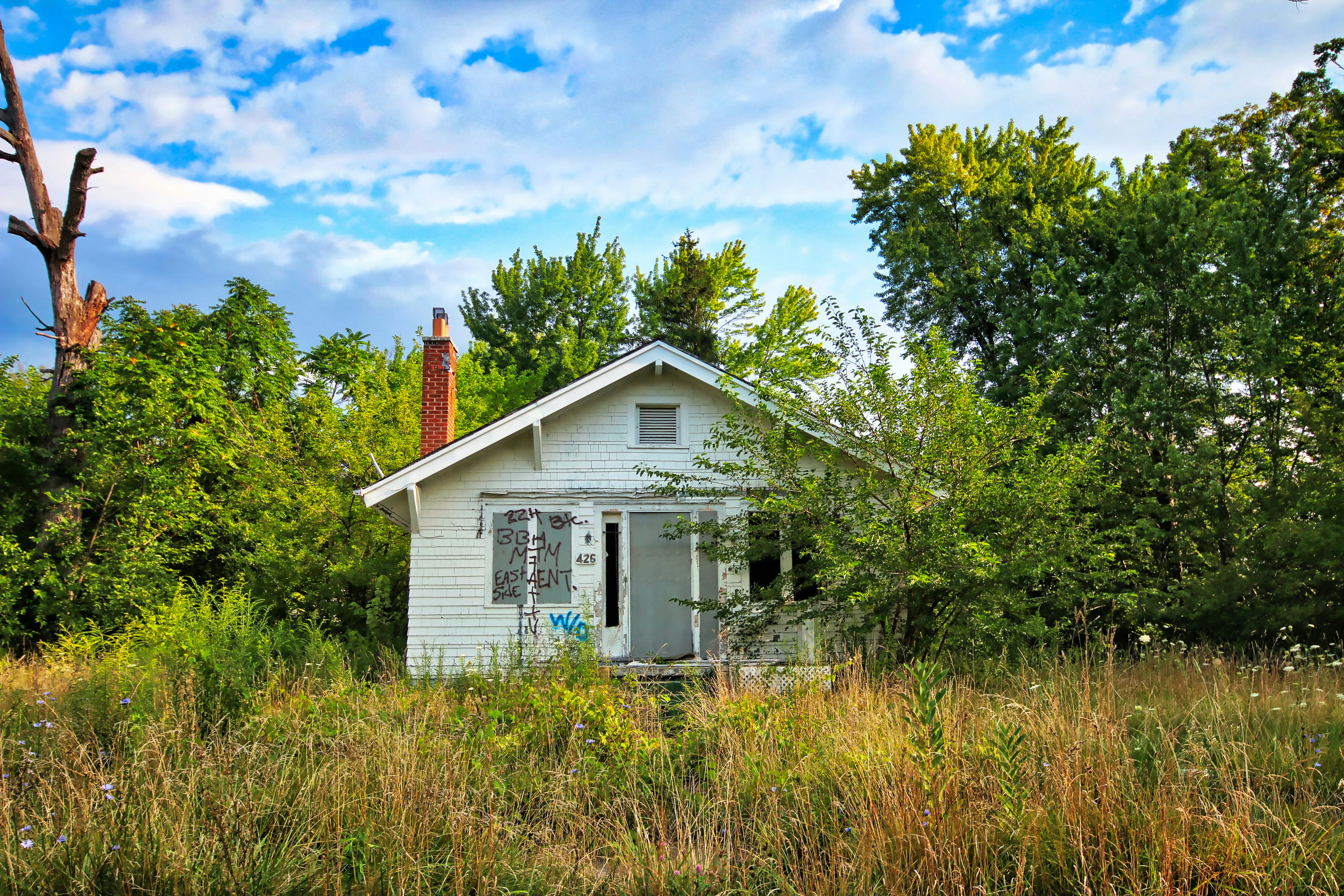 Fixer upper house