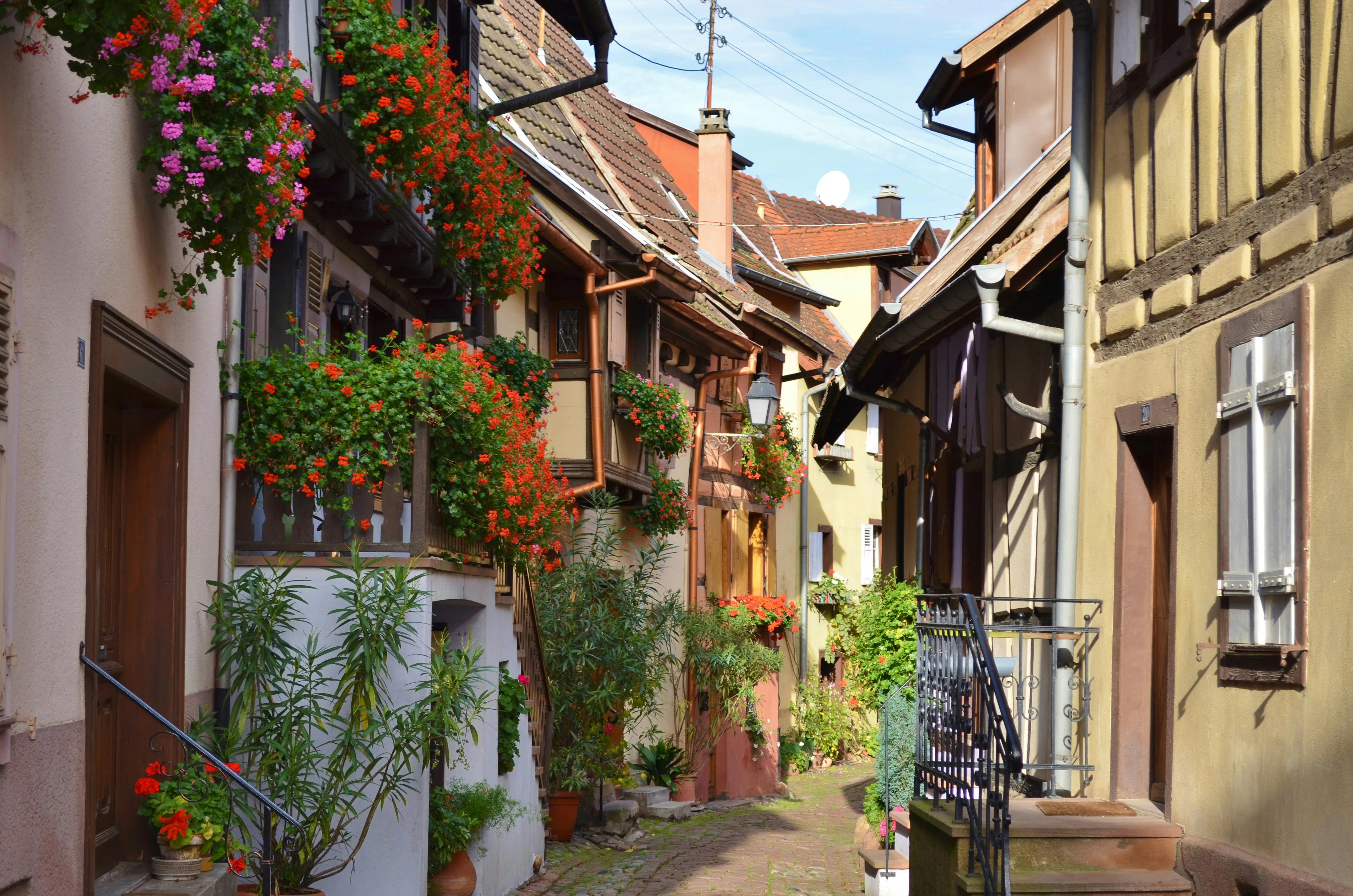 Rue pavée étroite bordée de maisons à colombages fleuries dans un village