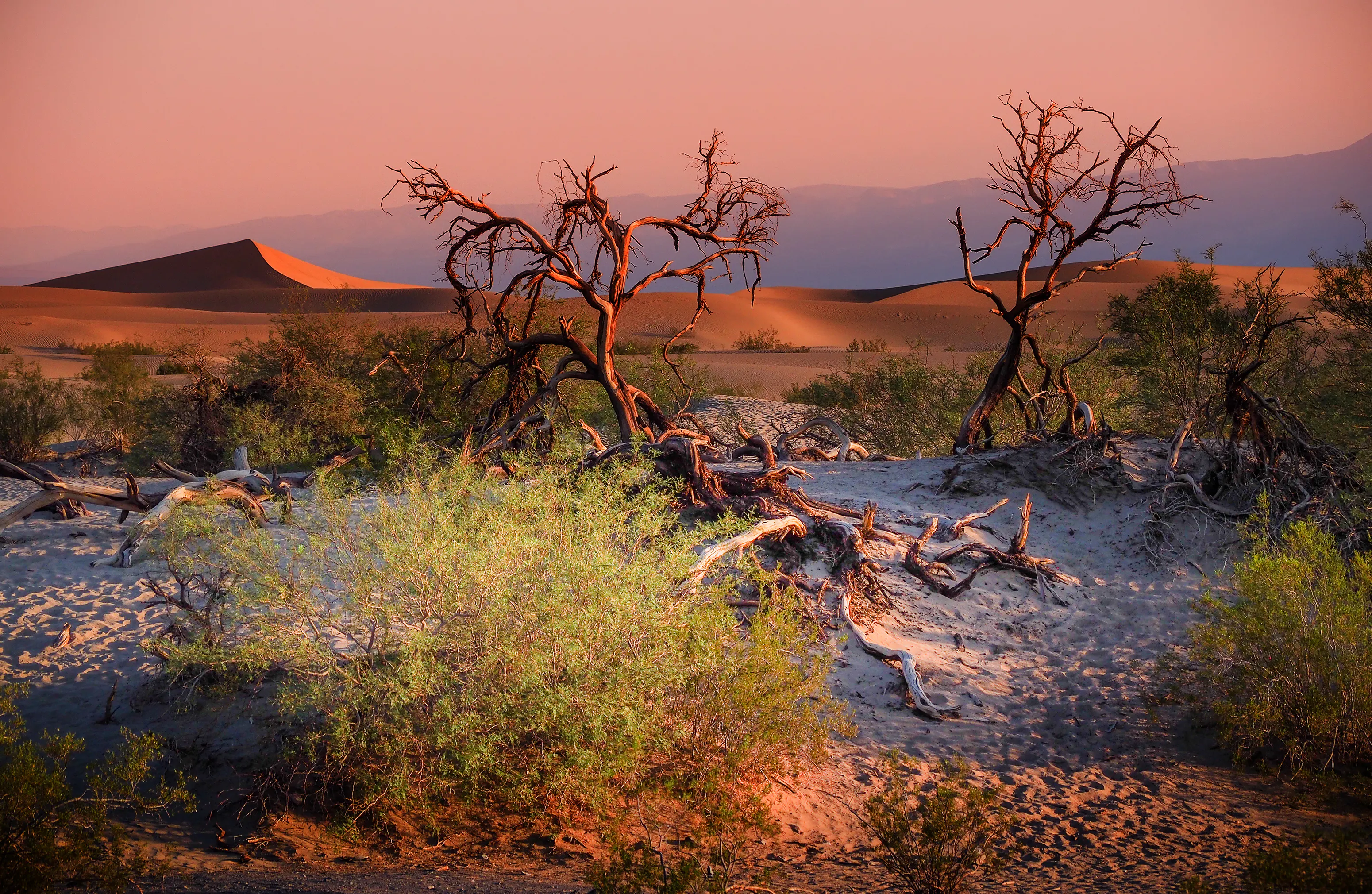 Sand Dunes And Mountains in sunset, Death Valley National Park, California, USA