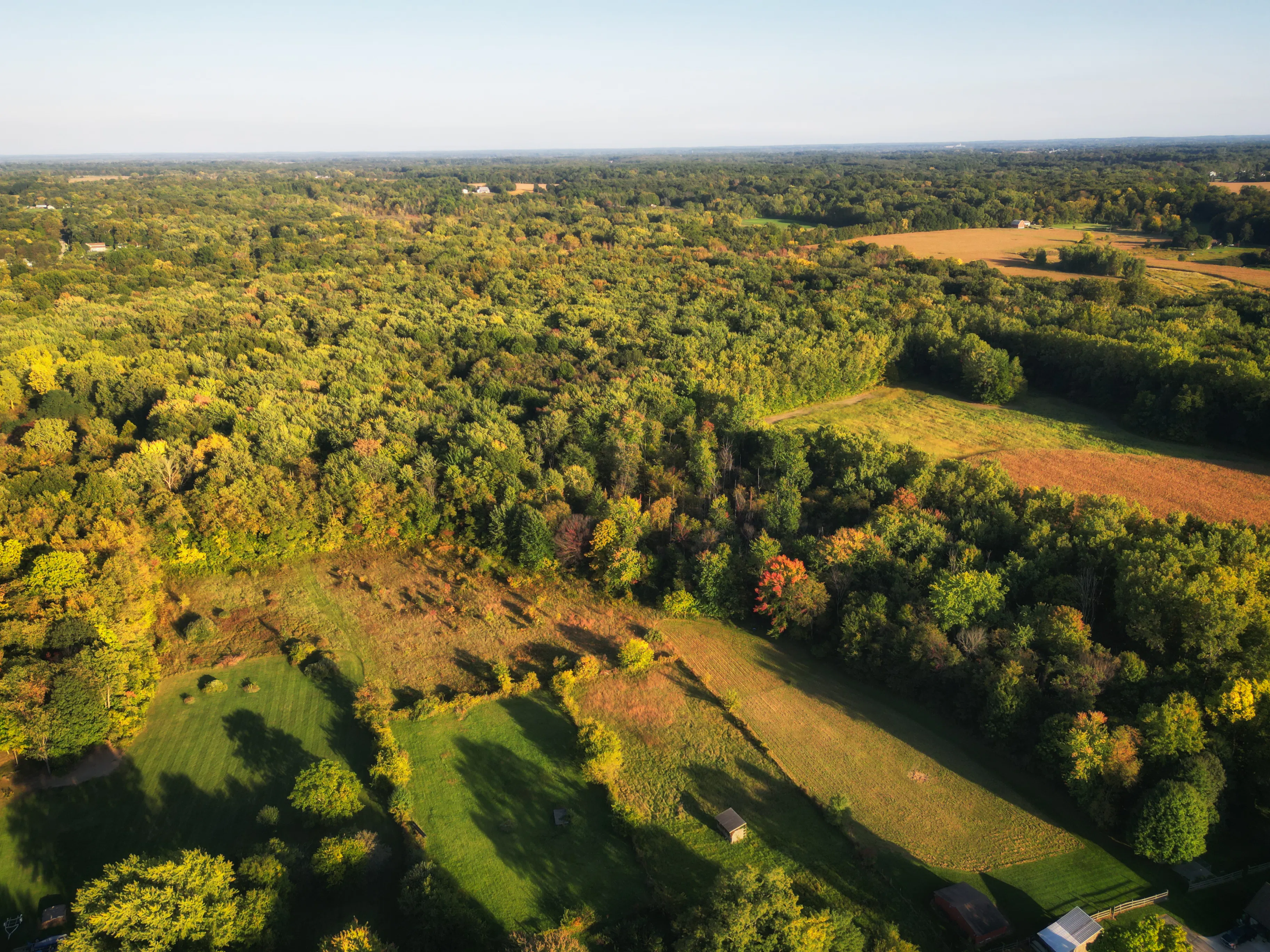 Aerial over a wooded area in Berrien Springs, in Berrien County, within the Oronoko Charter Township, Michigan, United States.