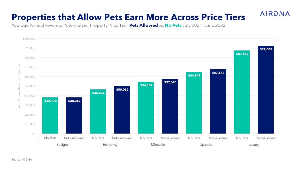 Airbnb: Record Profit, 1 Million New Listings, Pet-Friendly Filter