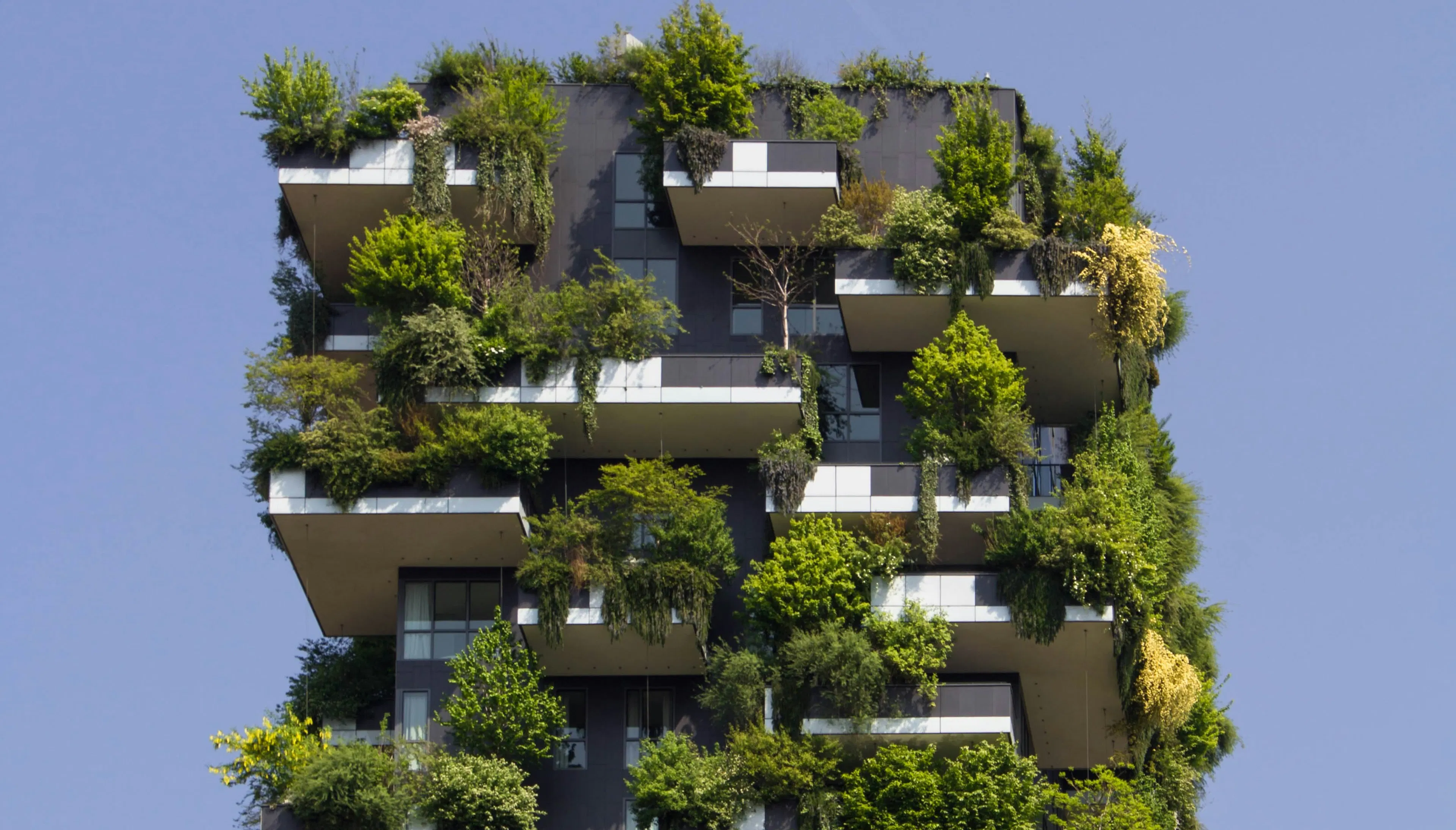 Why Your Vacation Rental Should Be Sustainable