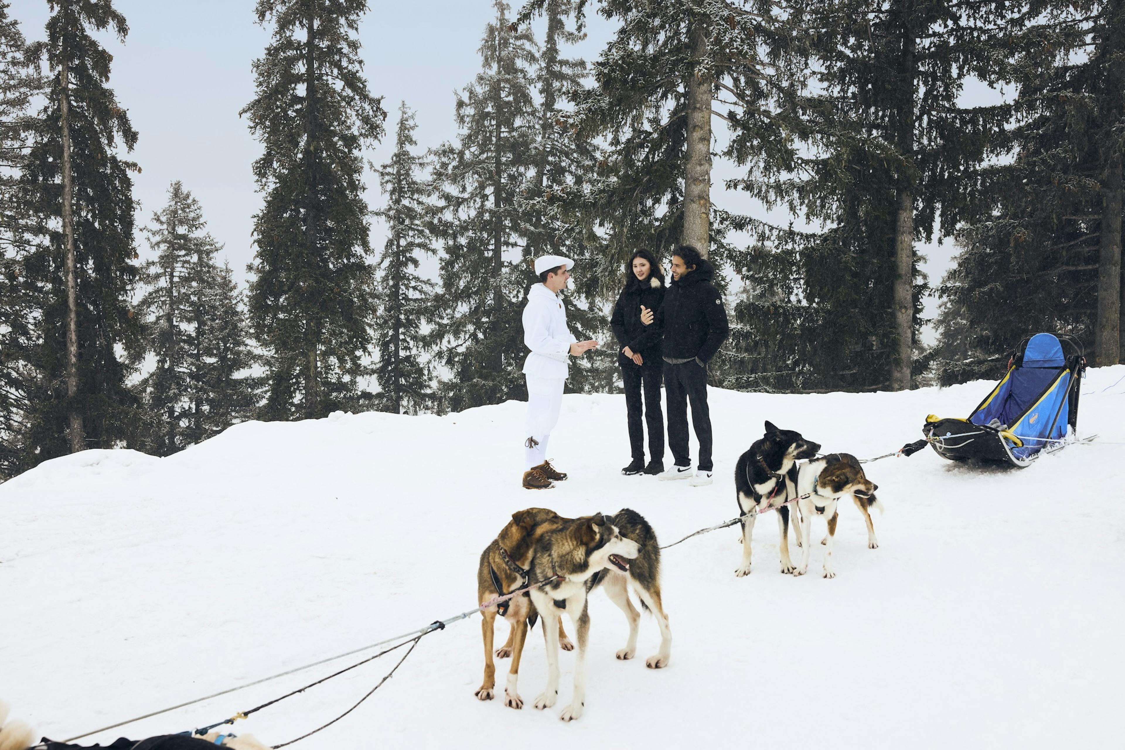 Activité chiens de traineau à l'hôtel de luxe Les Airelles Courchevel