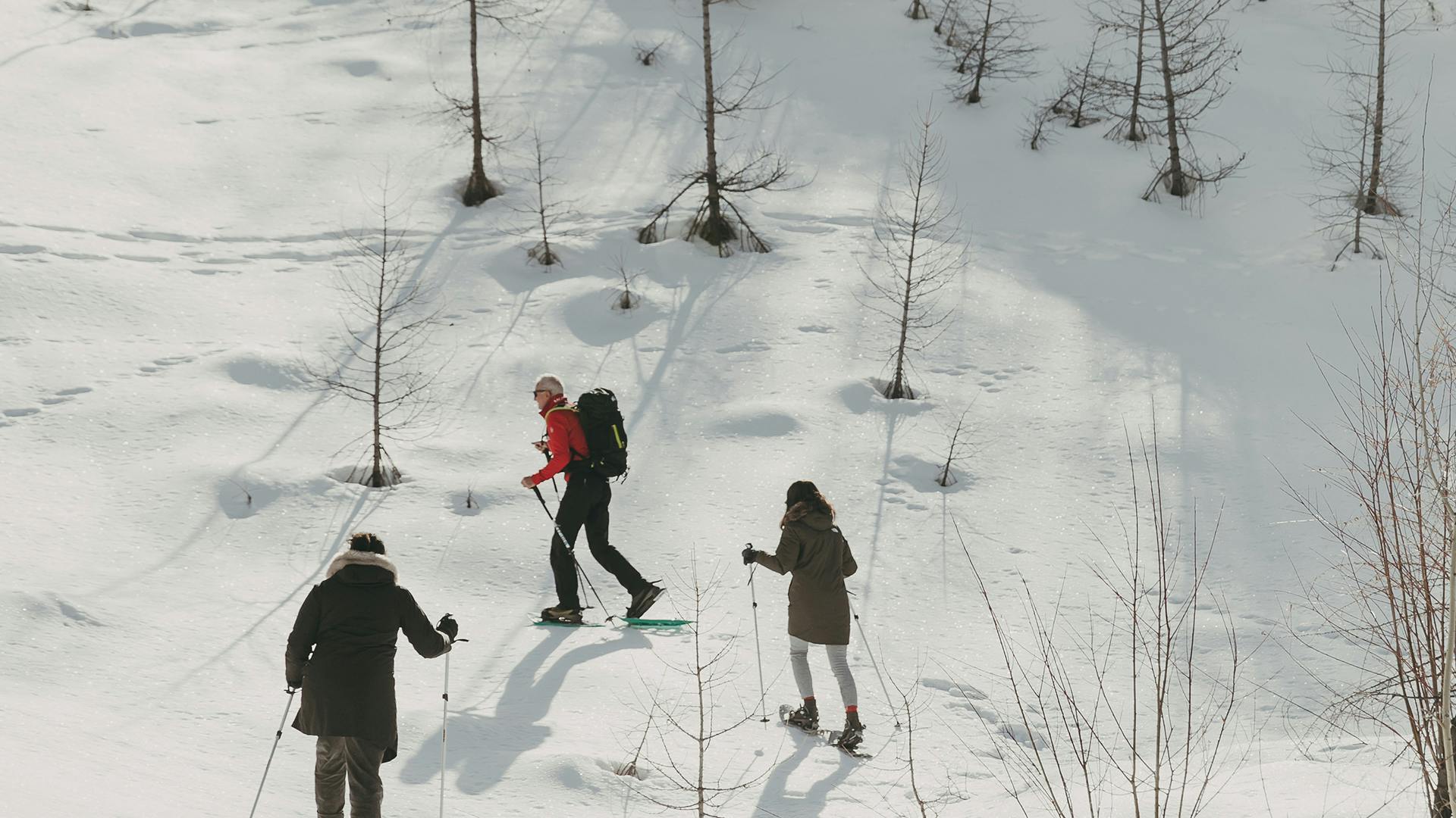 Airelles Val d'IsÃ¨re, expÃ©rience raquettes