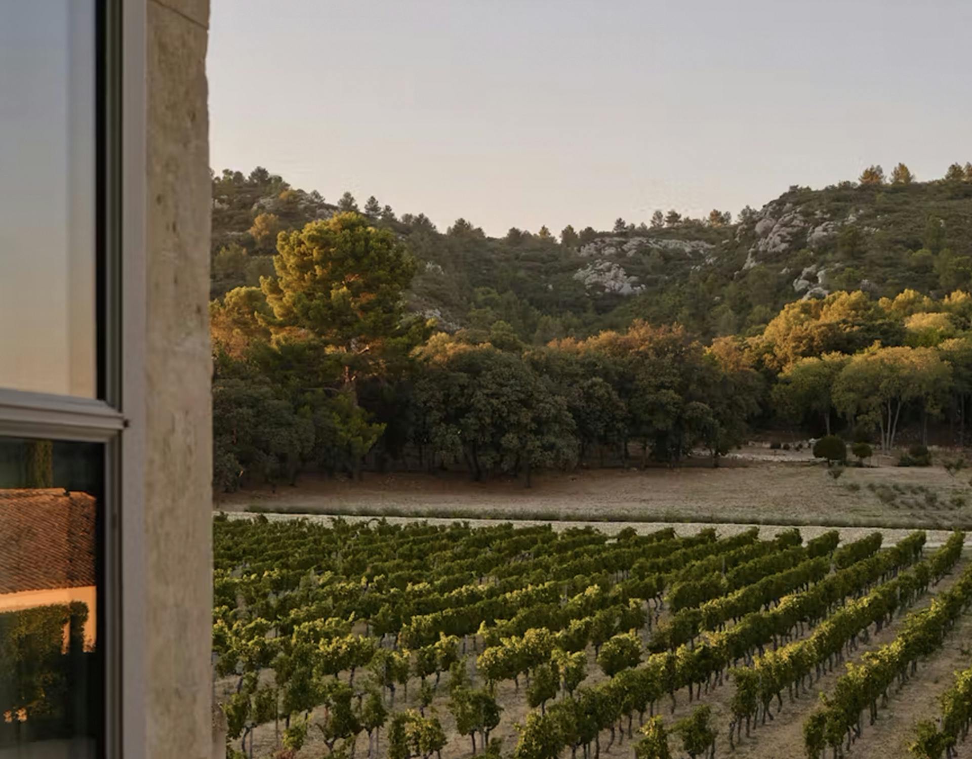 Vue du Chateau d'Estoublon sur les vignes