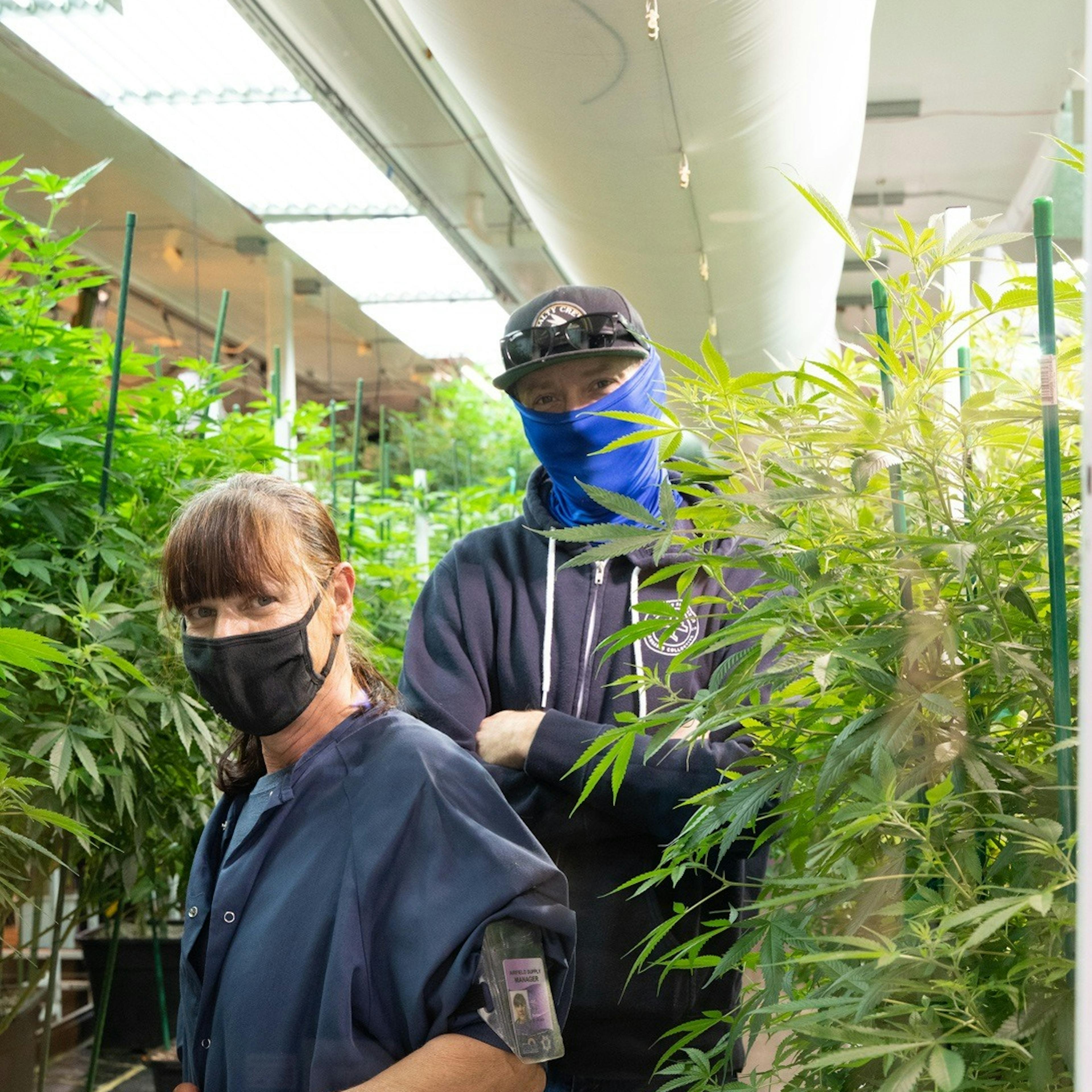 Two people inside grow room
