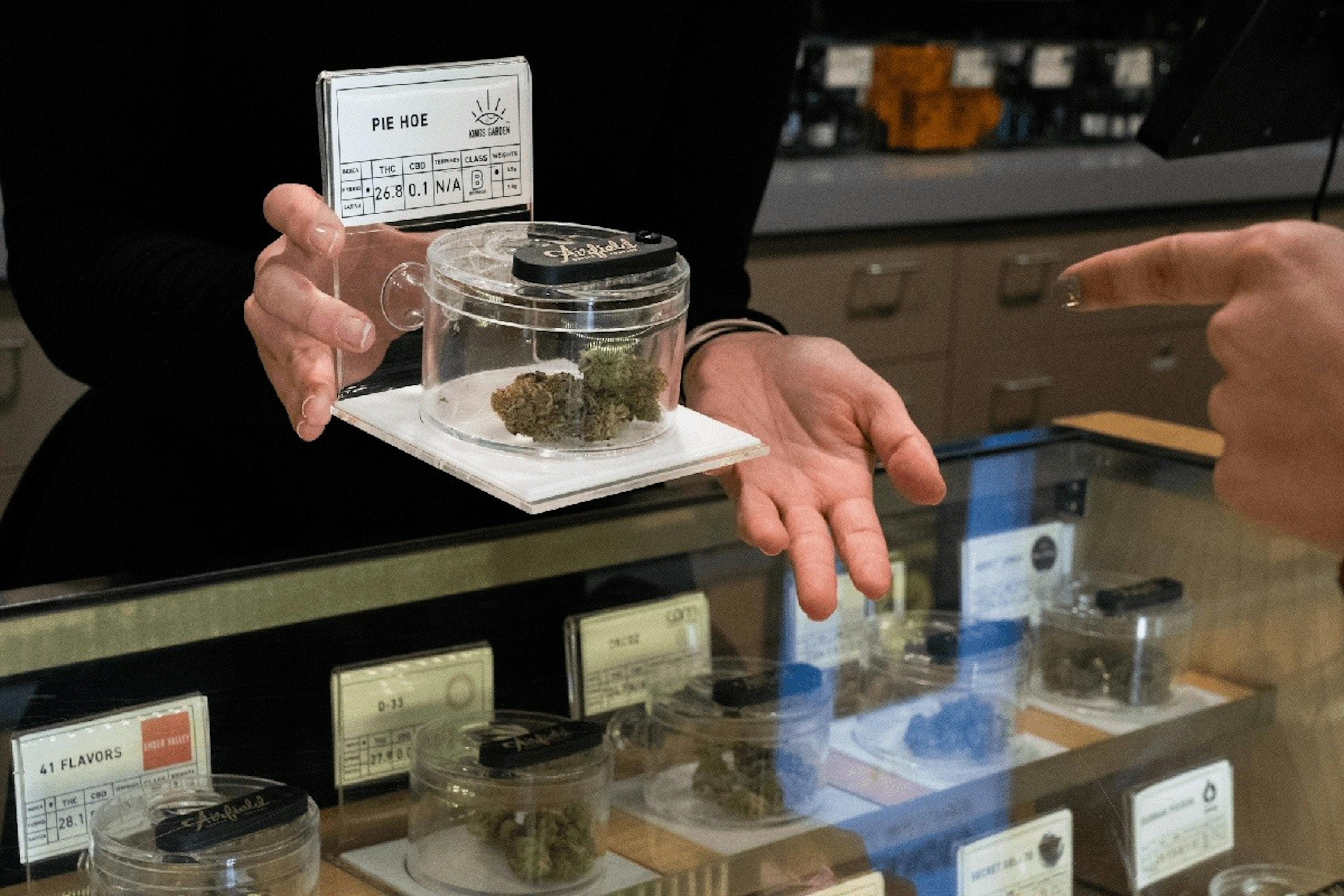 Budtender showing cannabis flower to customer