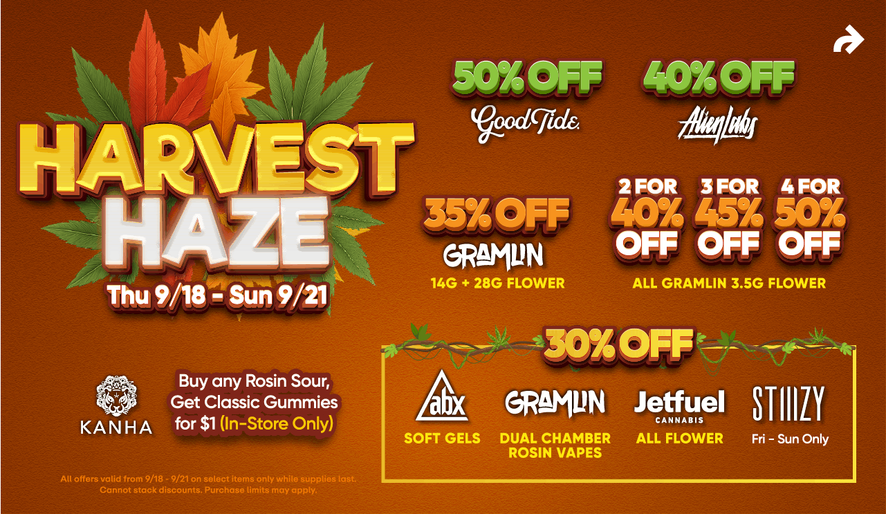 Harvest Haze - Up to 50% off