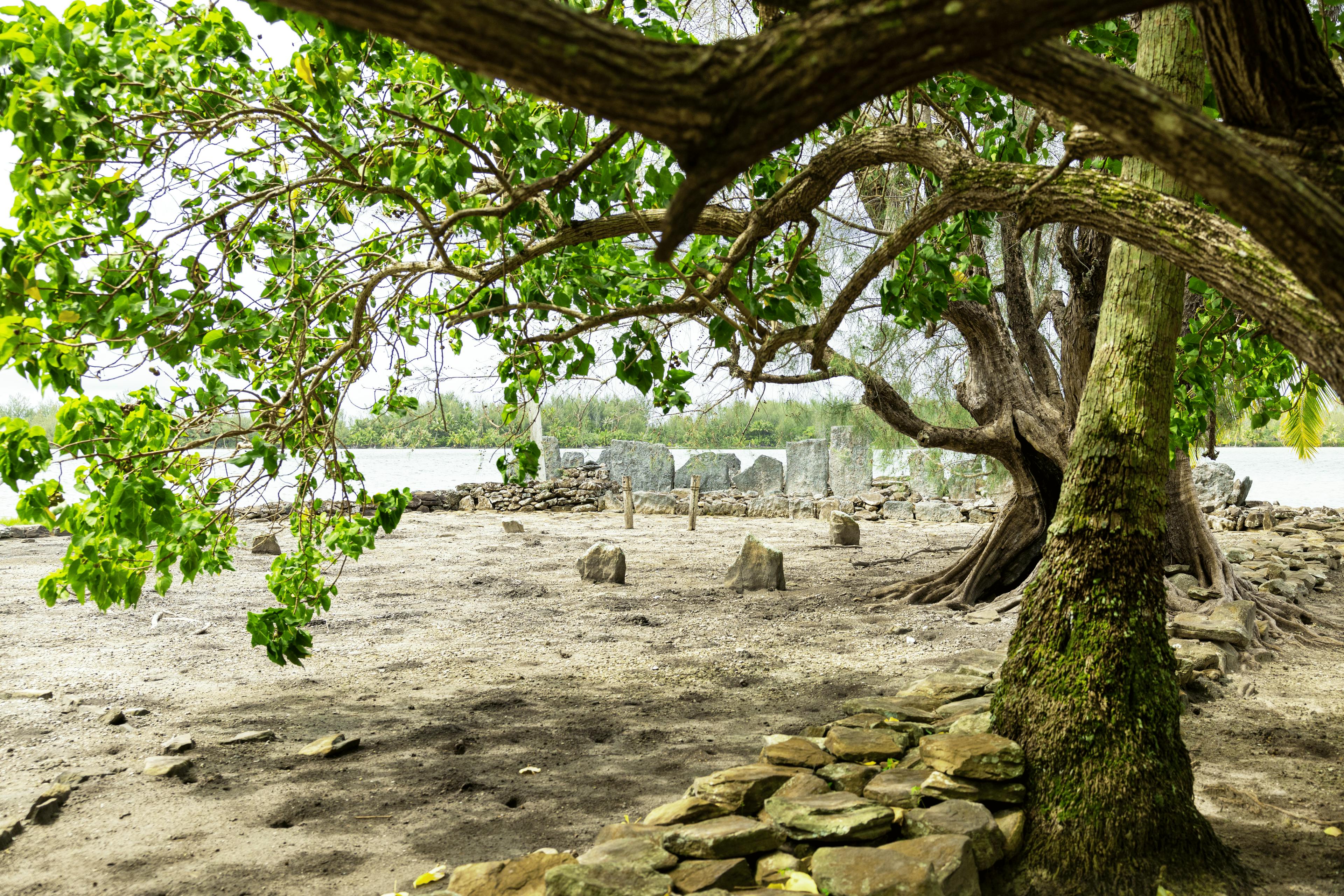 View of a traditional marae on the island of Huahine, in French Polynesia. This sacred stone site, surrounded by ancient trees and overlooking the lagoon, reflects the rich Polynesian cultural and spiritual heritage.