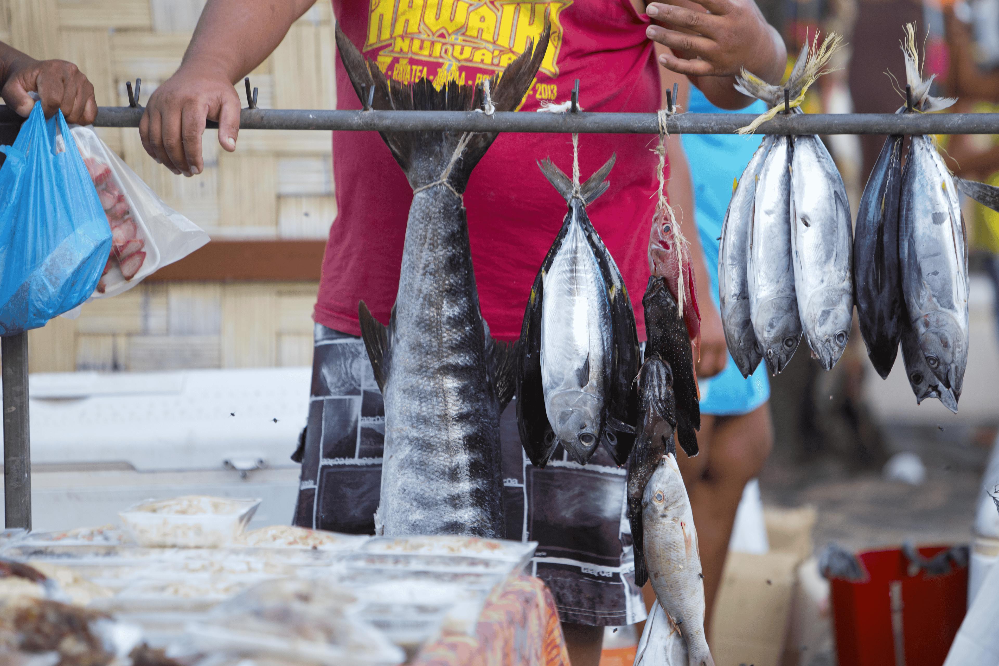 Scène animée d'un marché aux poissons à Huahine, Polynésie Française, présentant diverses espèces locales de poissons dont des barracudas et des thons, suspendus à la vente. Les clients interagissent avec les vendeurs dans un marché extérieur très fréquenté, illustrant la riche culture de la pêche de l'île.